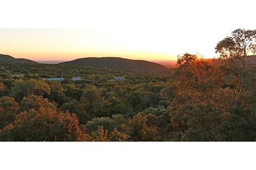 Thaba Moriri - South Africa - South facing vacant stand with spectacular mountain and springbuck fla
