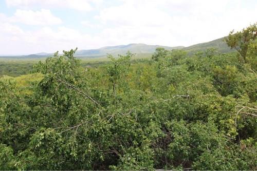 Thaba Moriri - South Africa - South facing vacant stand with spectacular mountain and springbuck fla