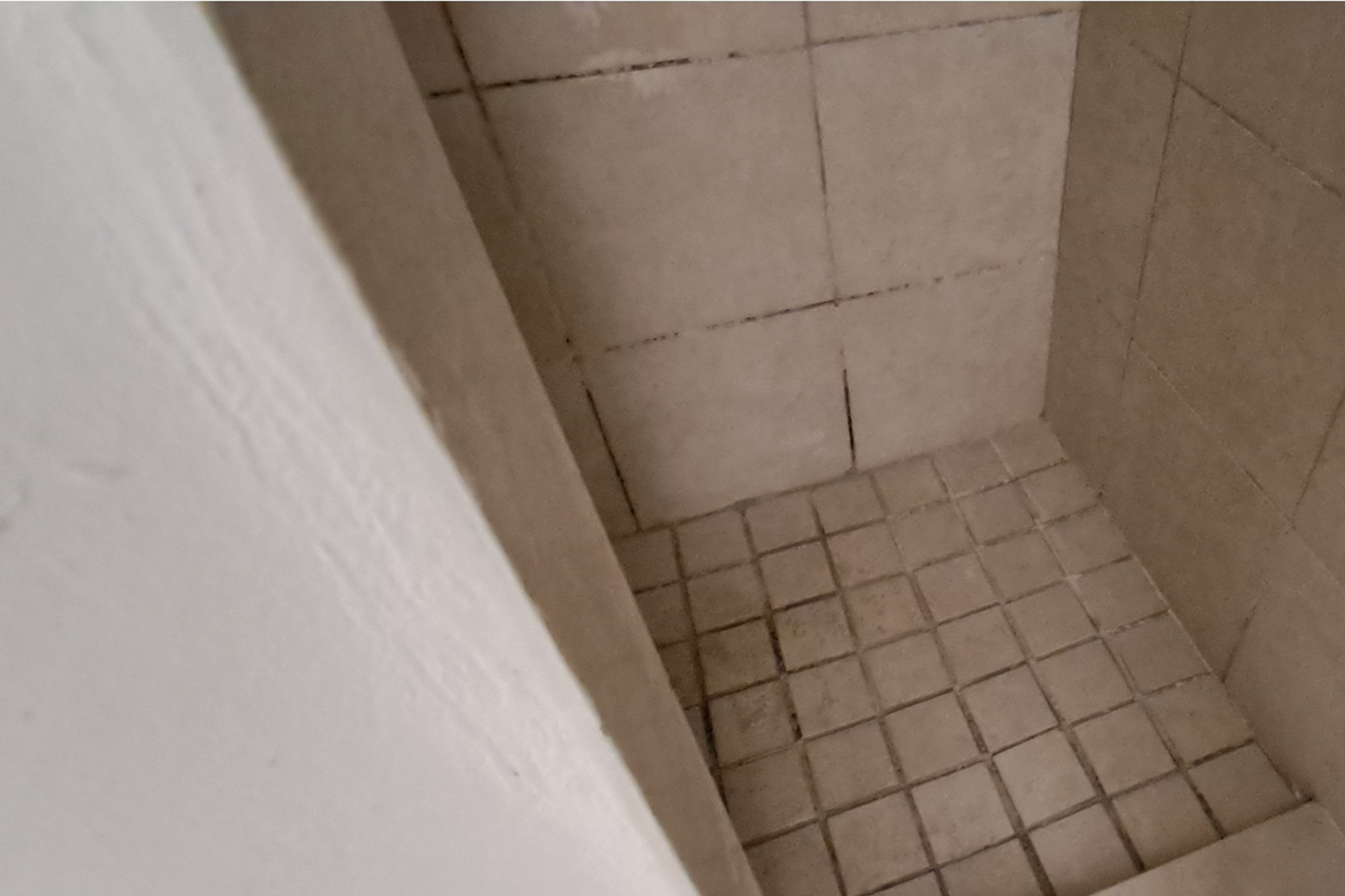 Unfurnished Bachelor apartment at First on Forest in Thornton