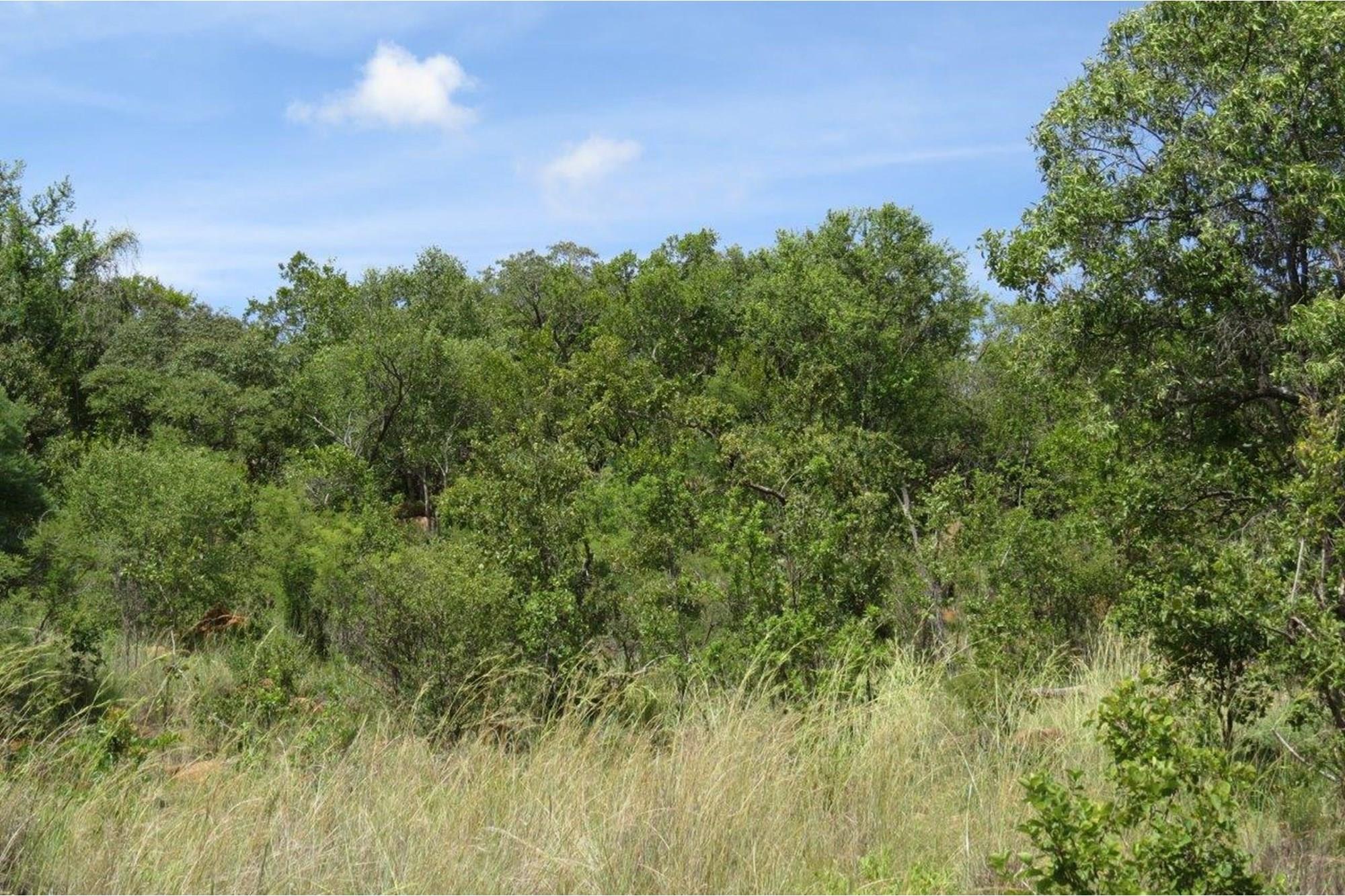 Zwartkloof Game Reserve - DAM View - Full Title - Interest Free Loans for 4 years