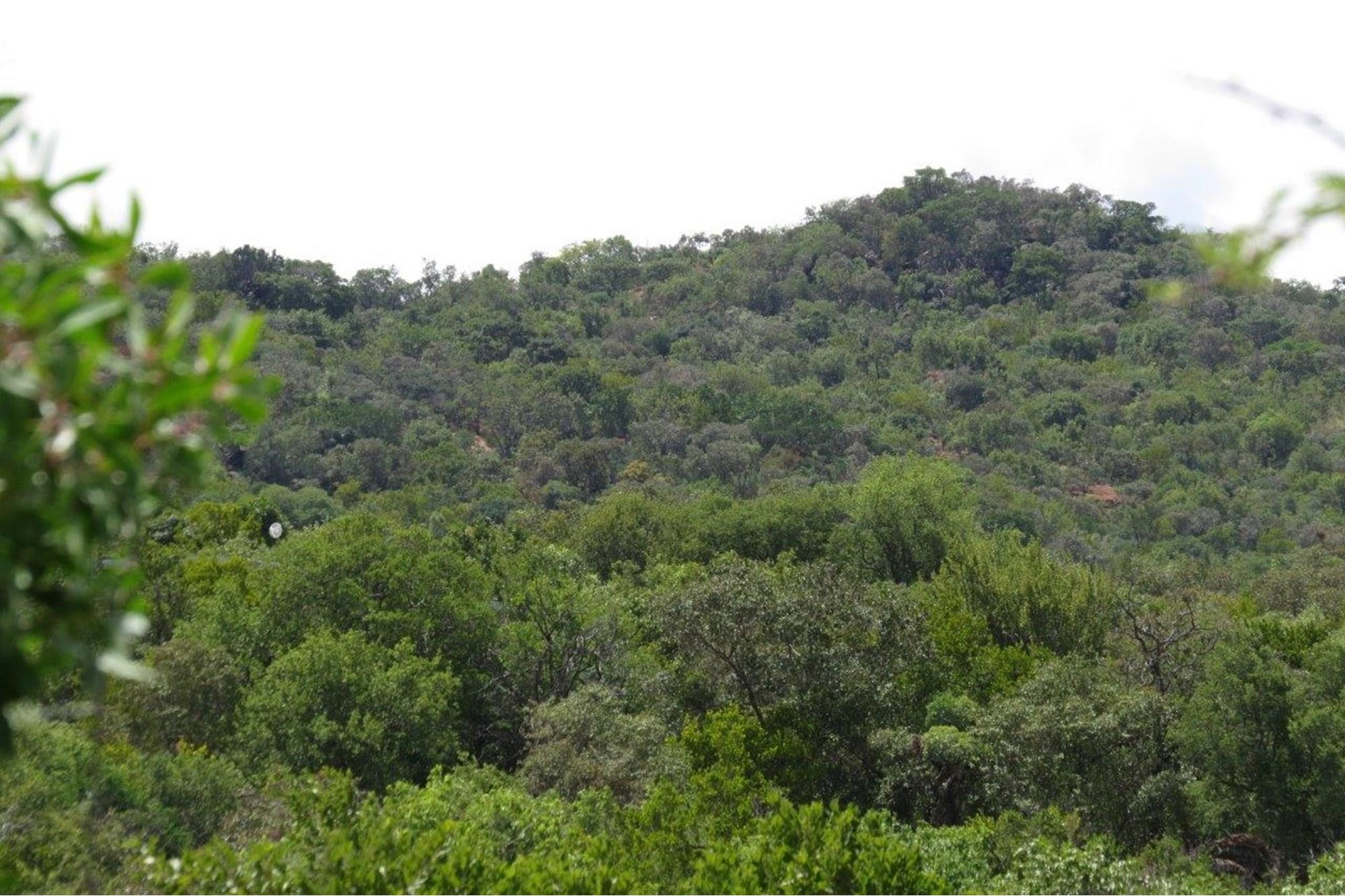 Zwartkloof Game Reserve - DAM View - Full Title - Interest Free Loans for 4 years