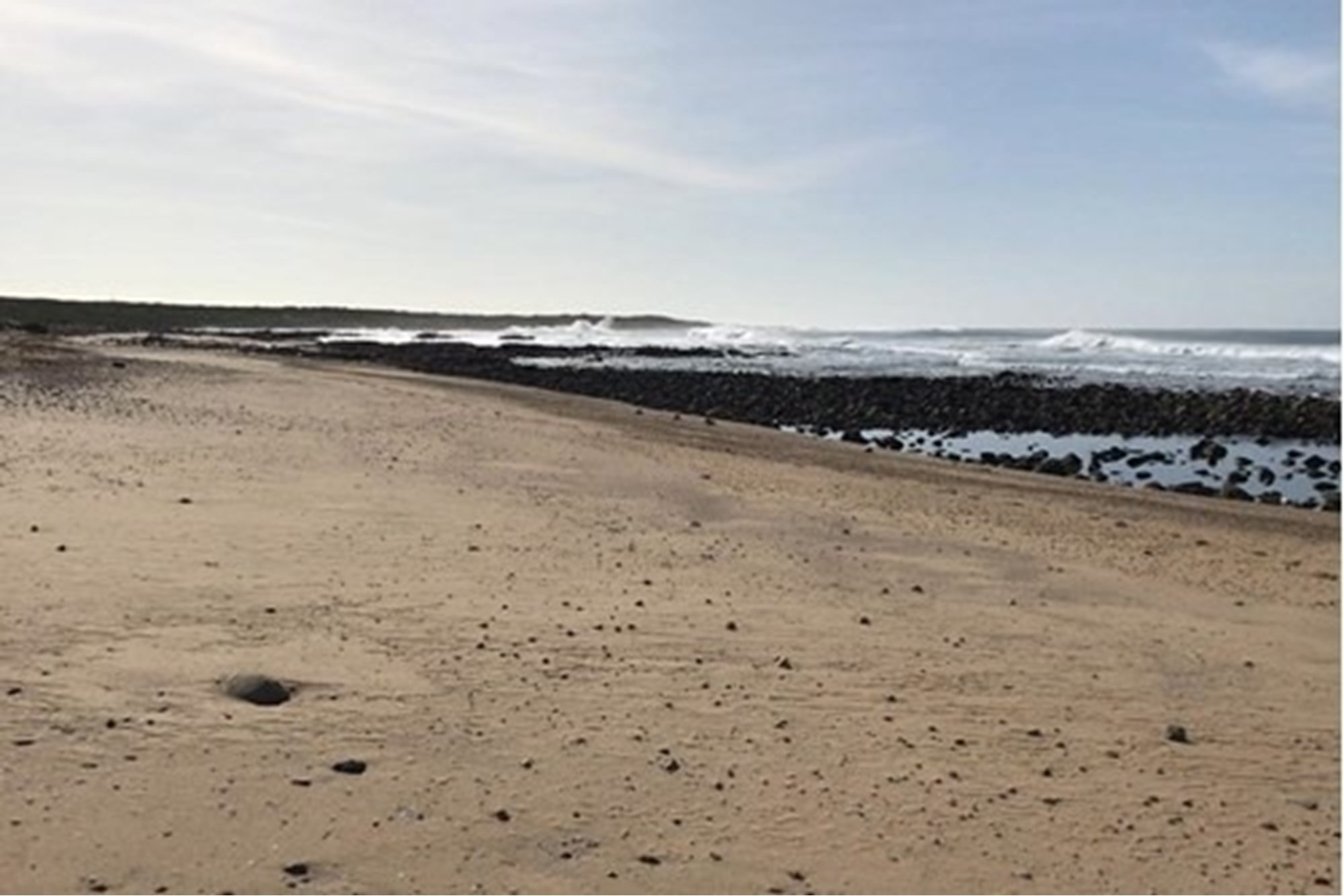 Exceptional Coastal farm for sale Gouritsmond