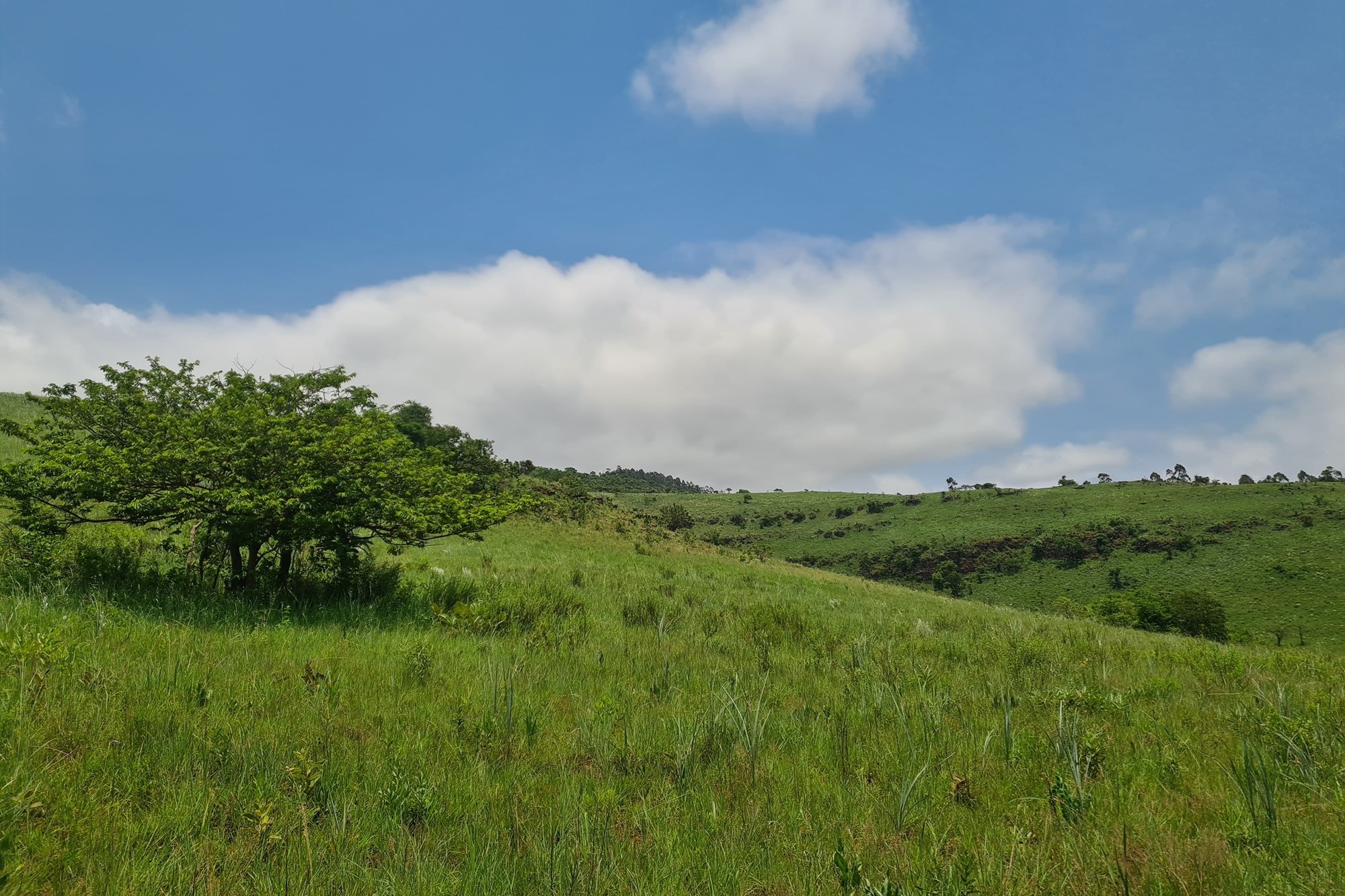 Prime Grazing Farm of 1845Ha with Exceptional Resources