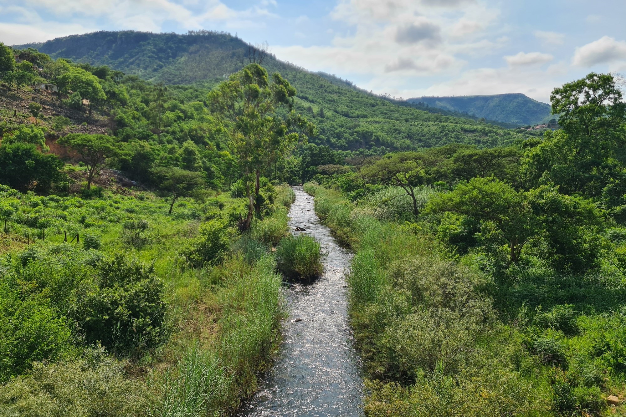 Farm for sale in Nelspruit Rural, Nelspruit, 100 m²