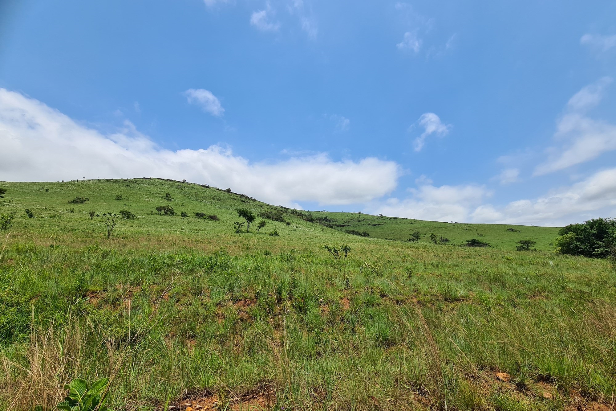 Prime Grazing Farm of 1845Ha with Exceptional Resources