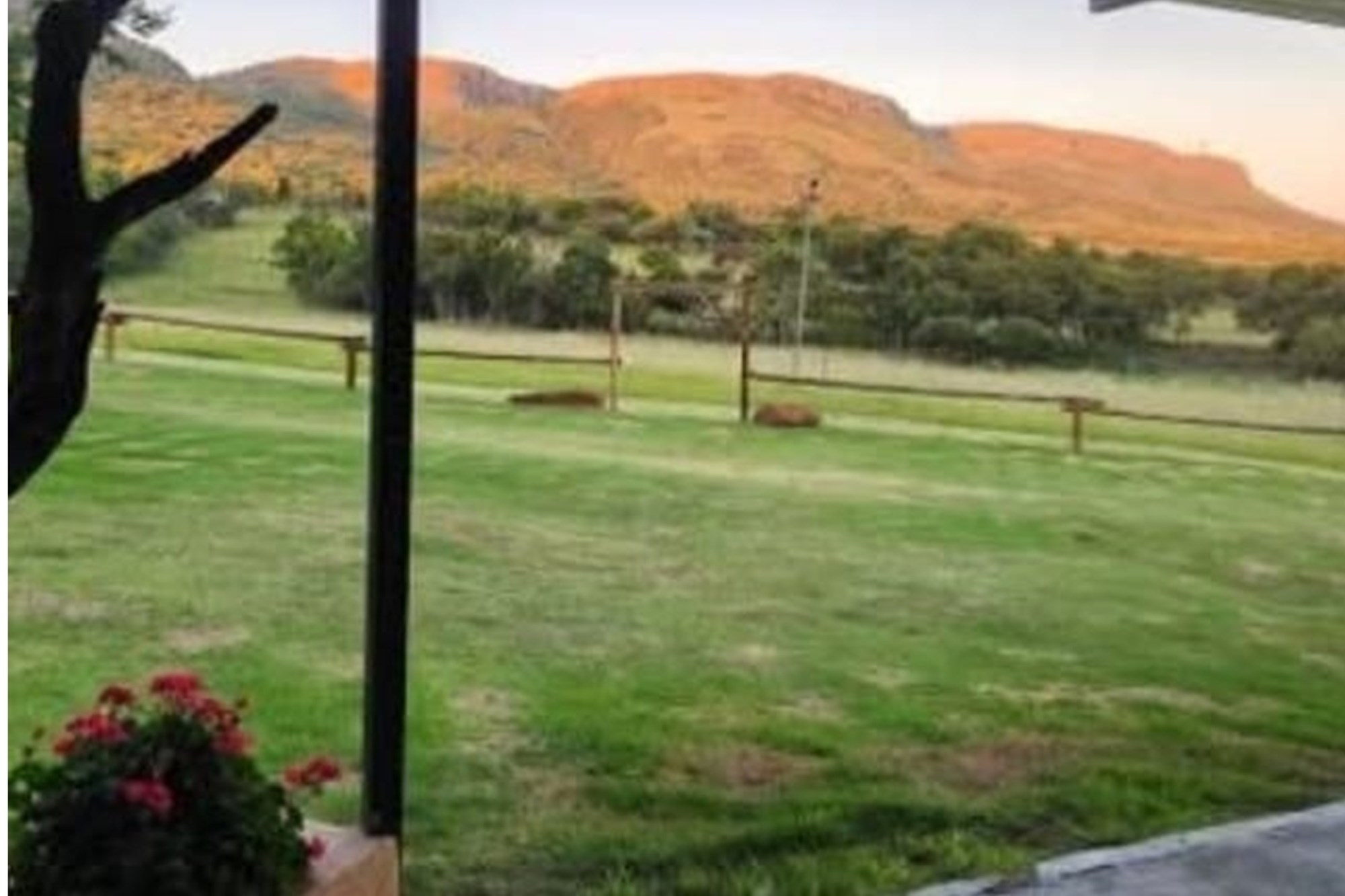 Beautiful Lifestyle farm for sale Owners Relocating for work purposes