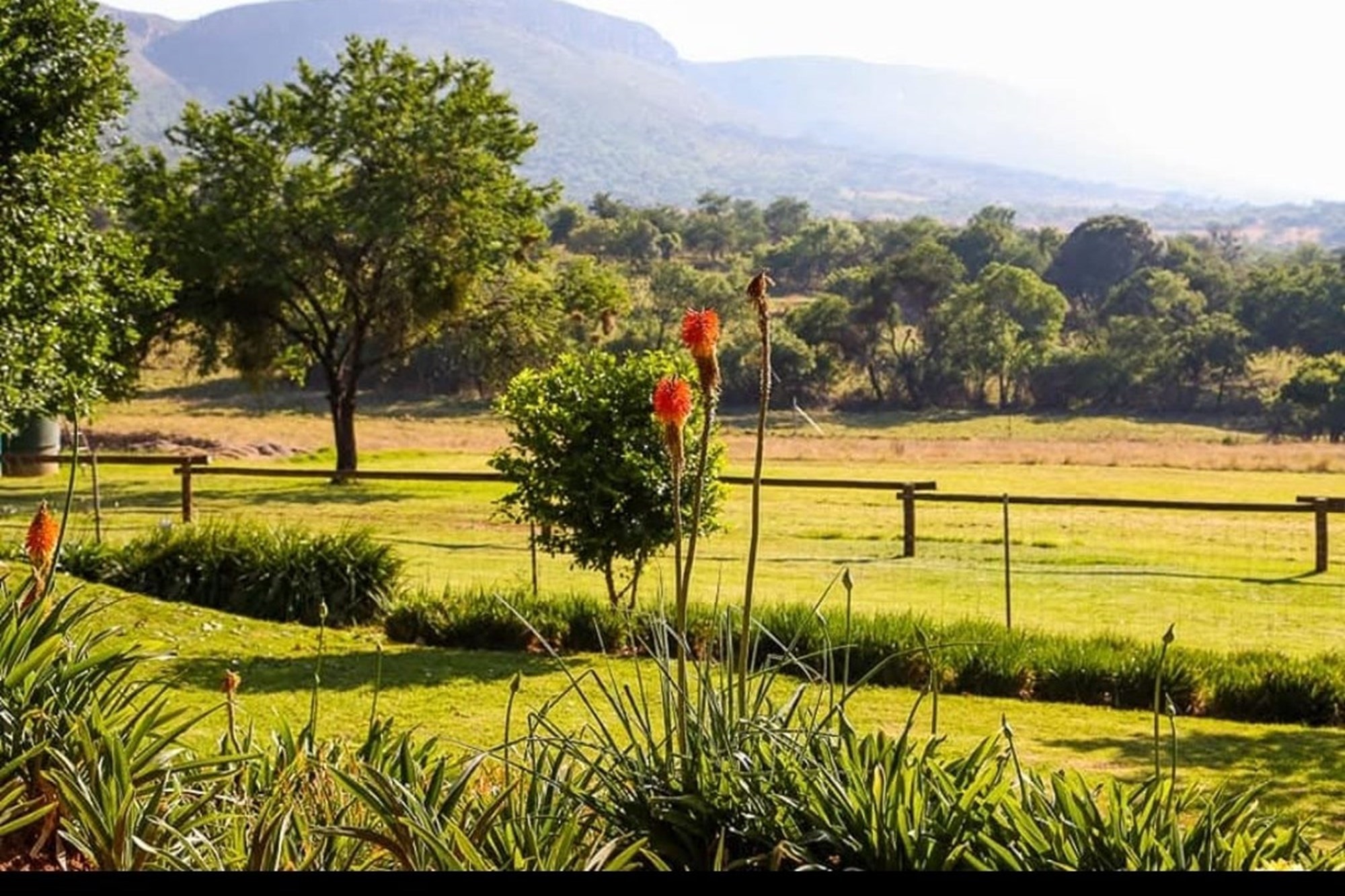 Beautiful Lifestyle farm for sale Owners Relocating for work purposes