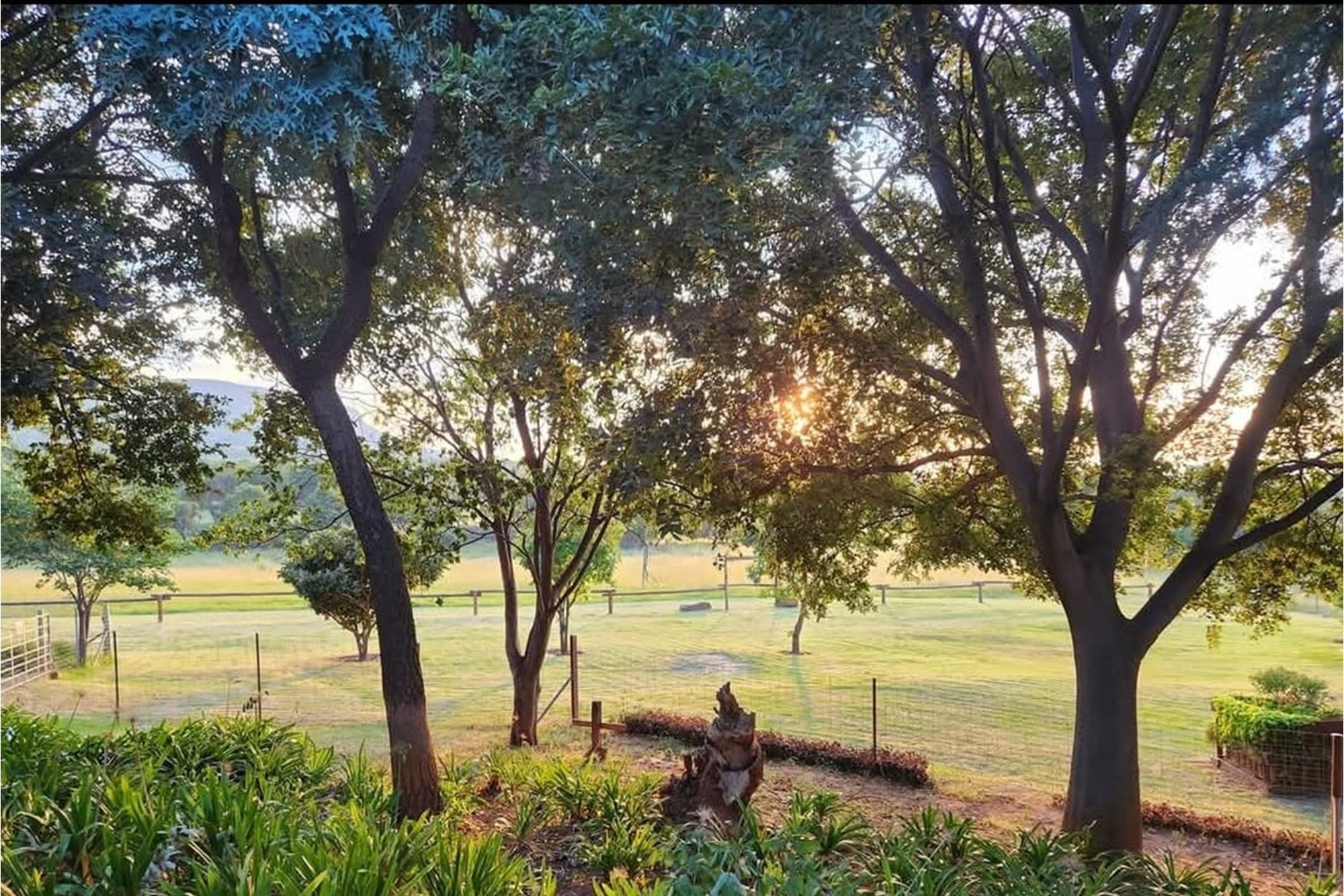 Beautiful Lifestyle farm for sale Owners Relocating for work purposes