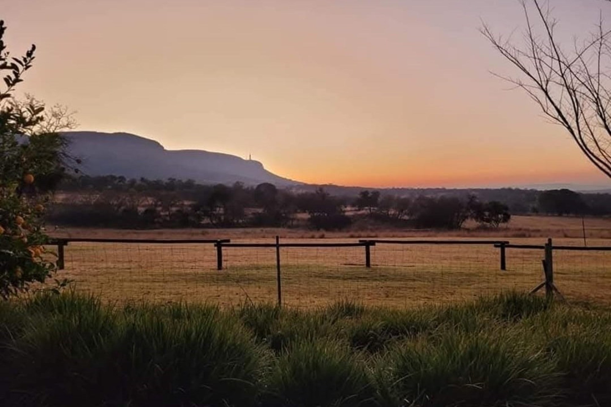 Beautiful Lifestyle farm for sale Owners Relocating for work purposes
