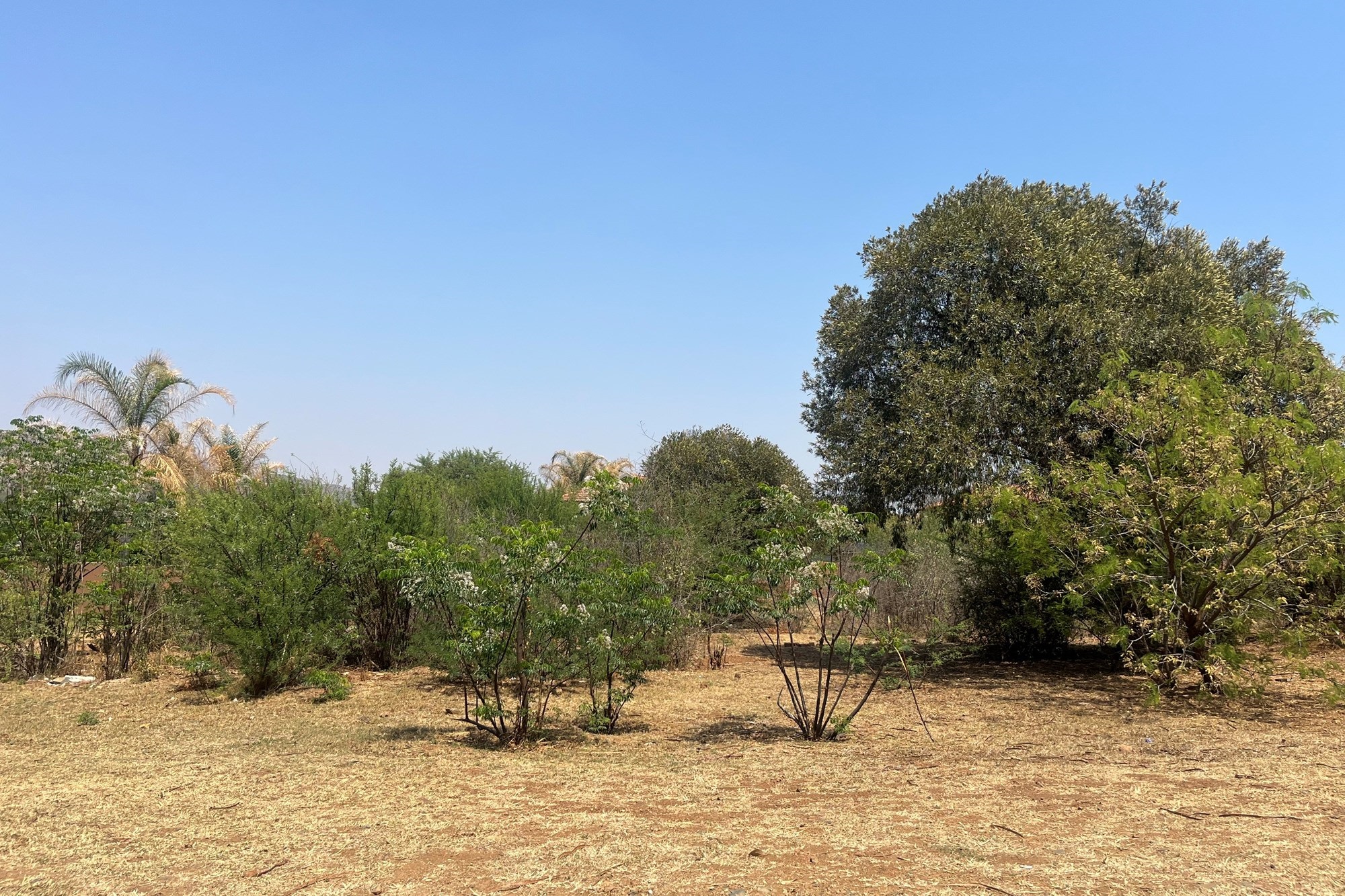 Vacant Land For Sale in Birdwood Estate, Hartbeespoort, North West