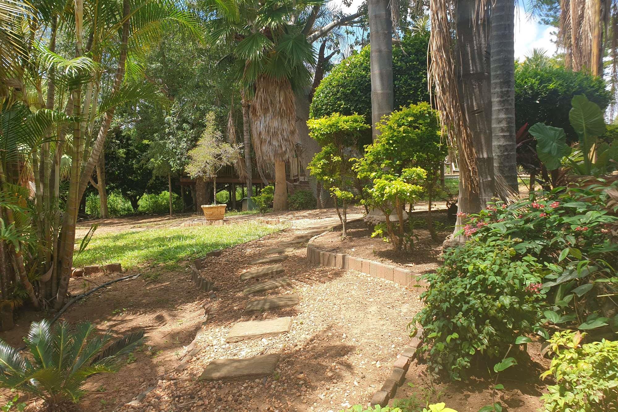 37 HA farm for sale in Tzaneen