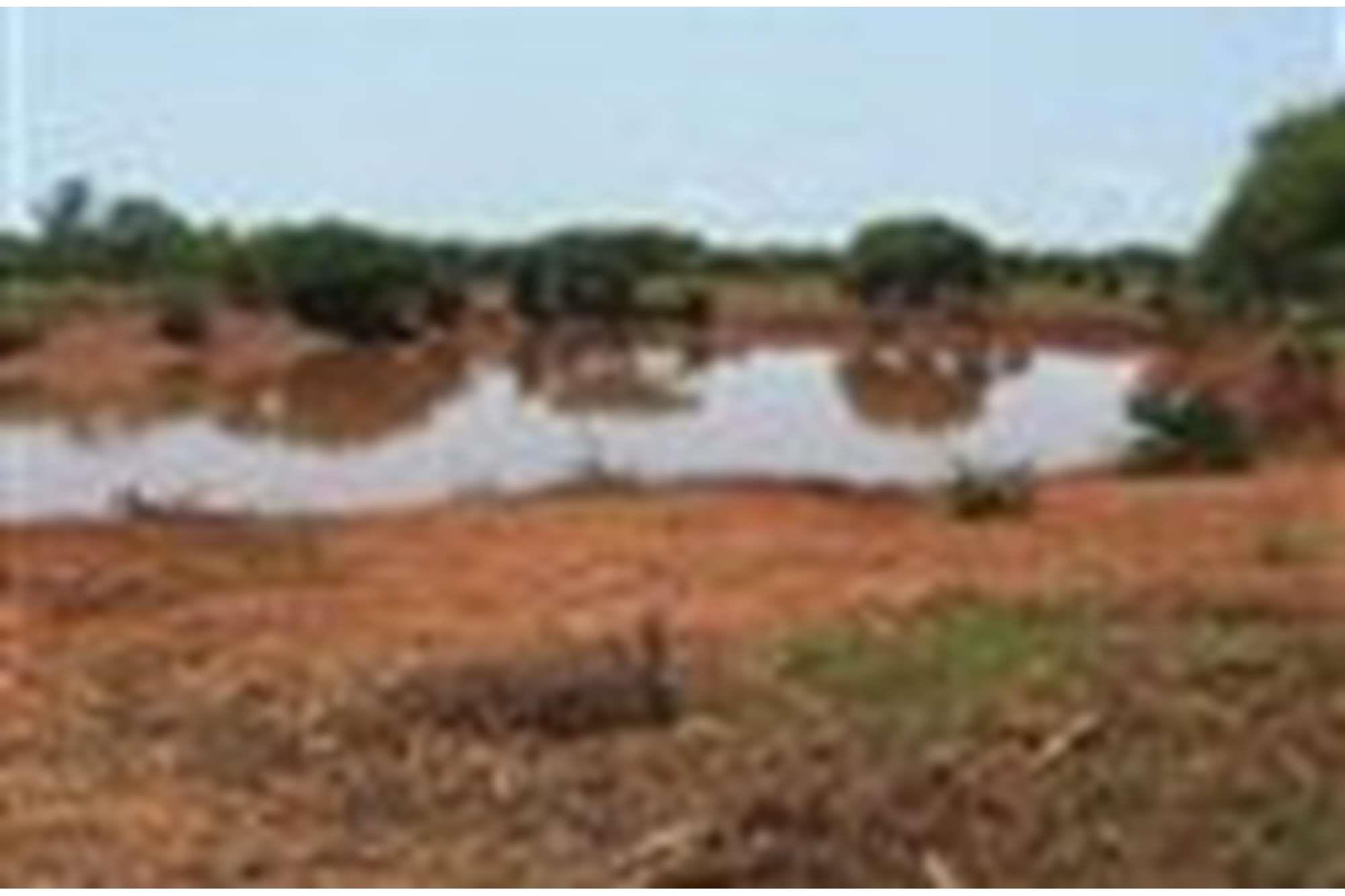 2070 Ha game farm in Alldays for sale
