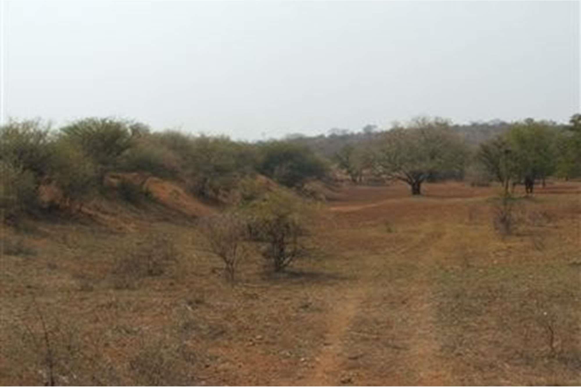 5000 Ha Game farm for sale in Musina