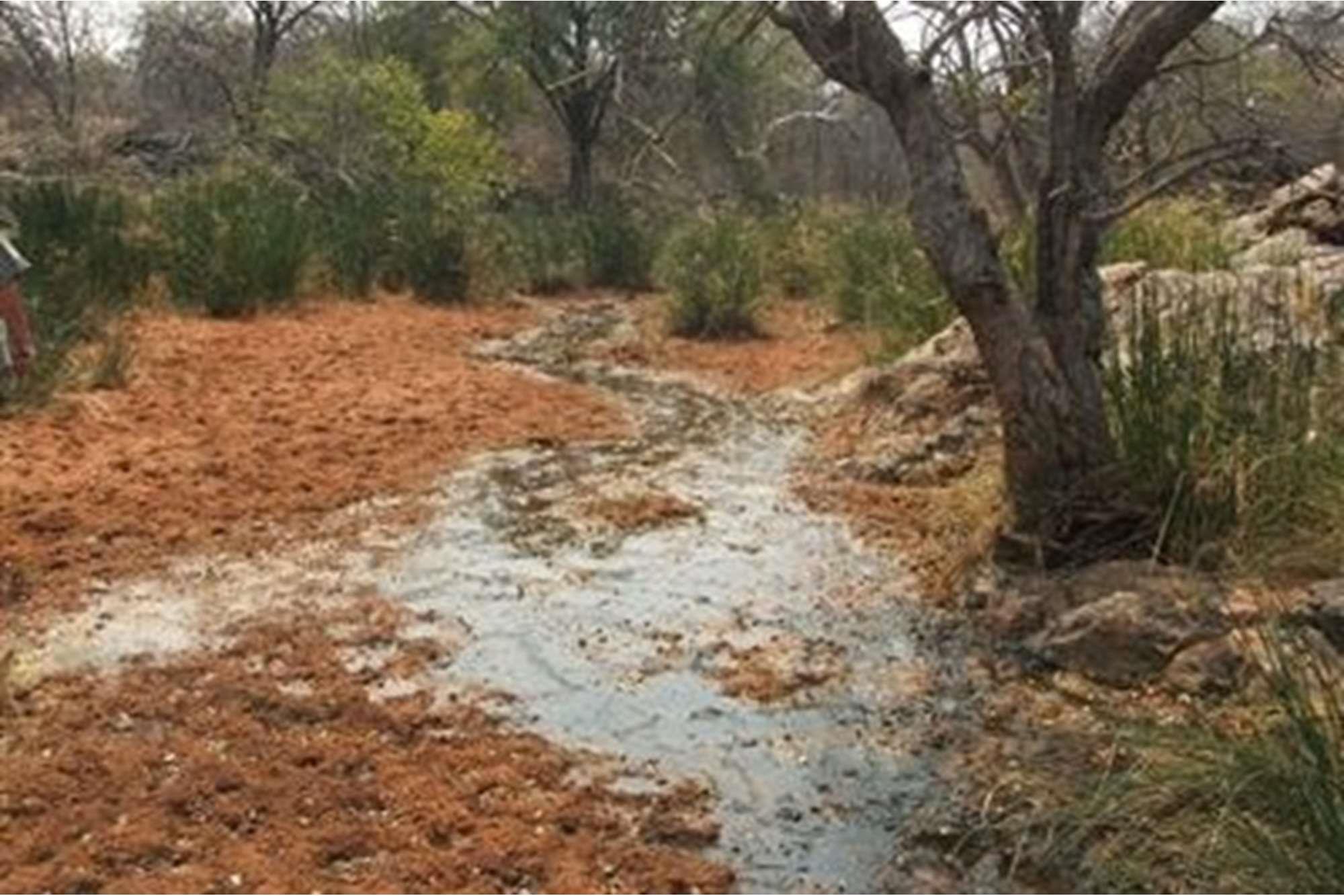 5000 Ha Game farm for sale in Musina