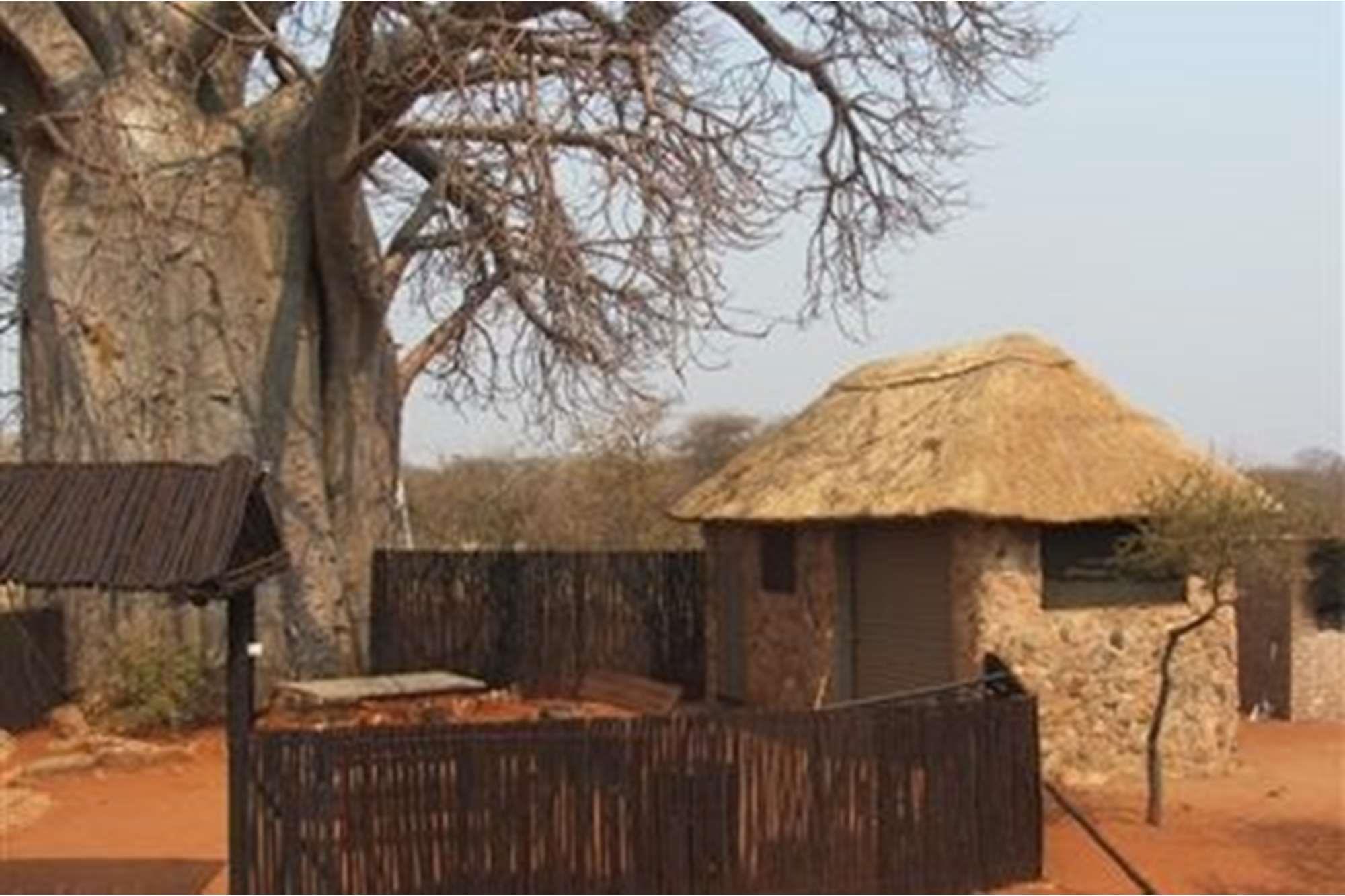 5000 Ha Game farm for sale in Musina