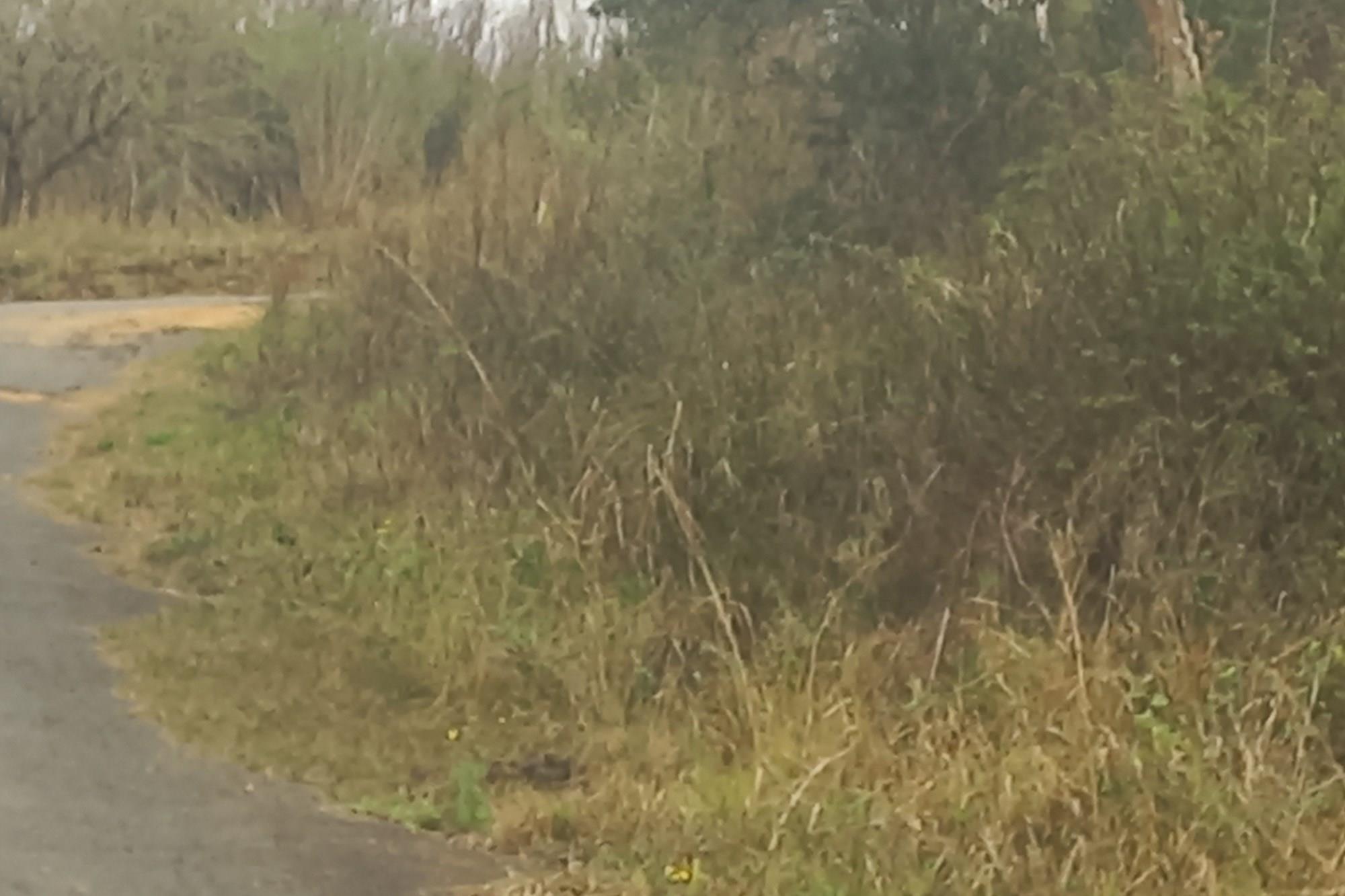 Vacant Land for sale in Woodlands, Pietermaritzburg, KwaZulu Natal, 12 woodview Drive, Woodlands Ext, Woodlands, Pietermaritzburg, KwaZulu Natal, 546 m²