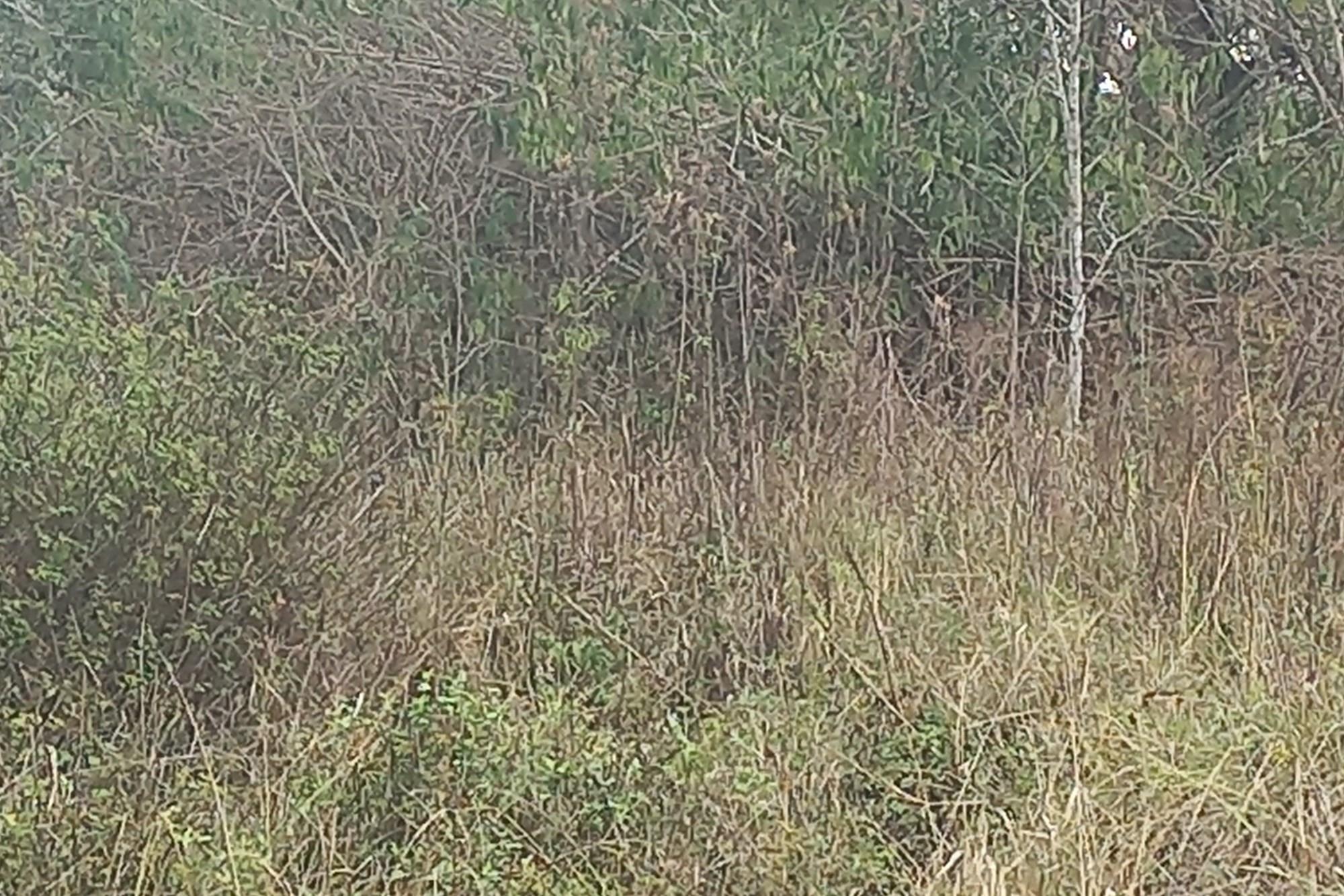 Vacant Land for sale in Woodlands, Pietermaritzburg, KwaZulu Natal, 12 woodview Drive, Woodlands Ext, Woodlands, Pietermaritzburg, KwaZulu Natal, 546 m²