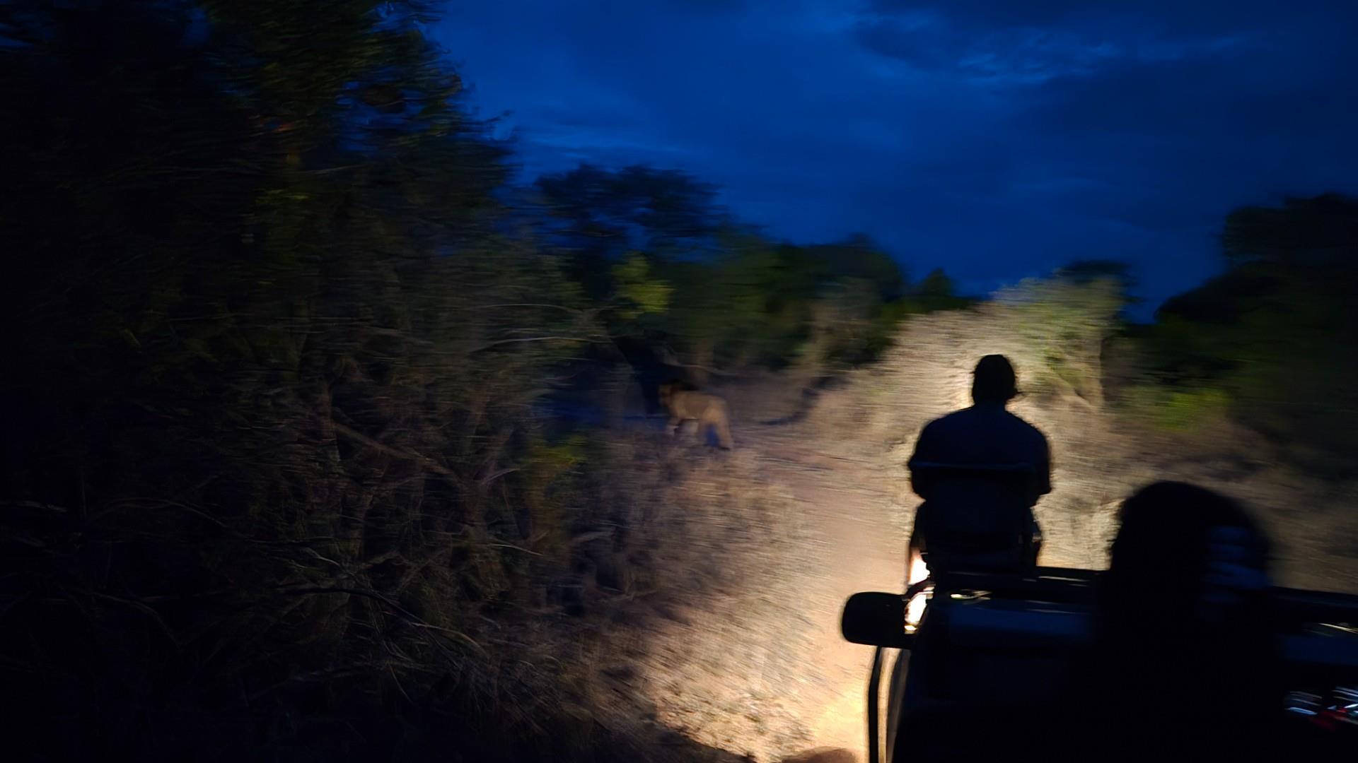 River stand in Moditlo Wildlife Estate with a variety of trees and open plains for optimal wildlife