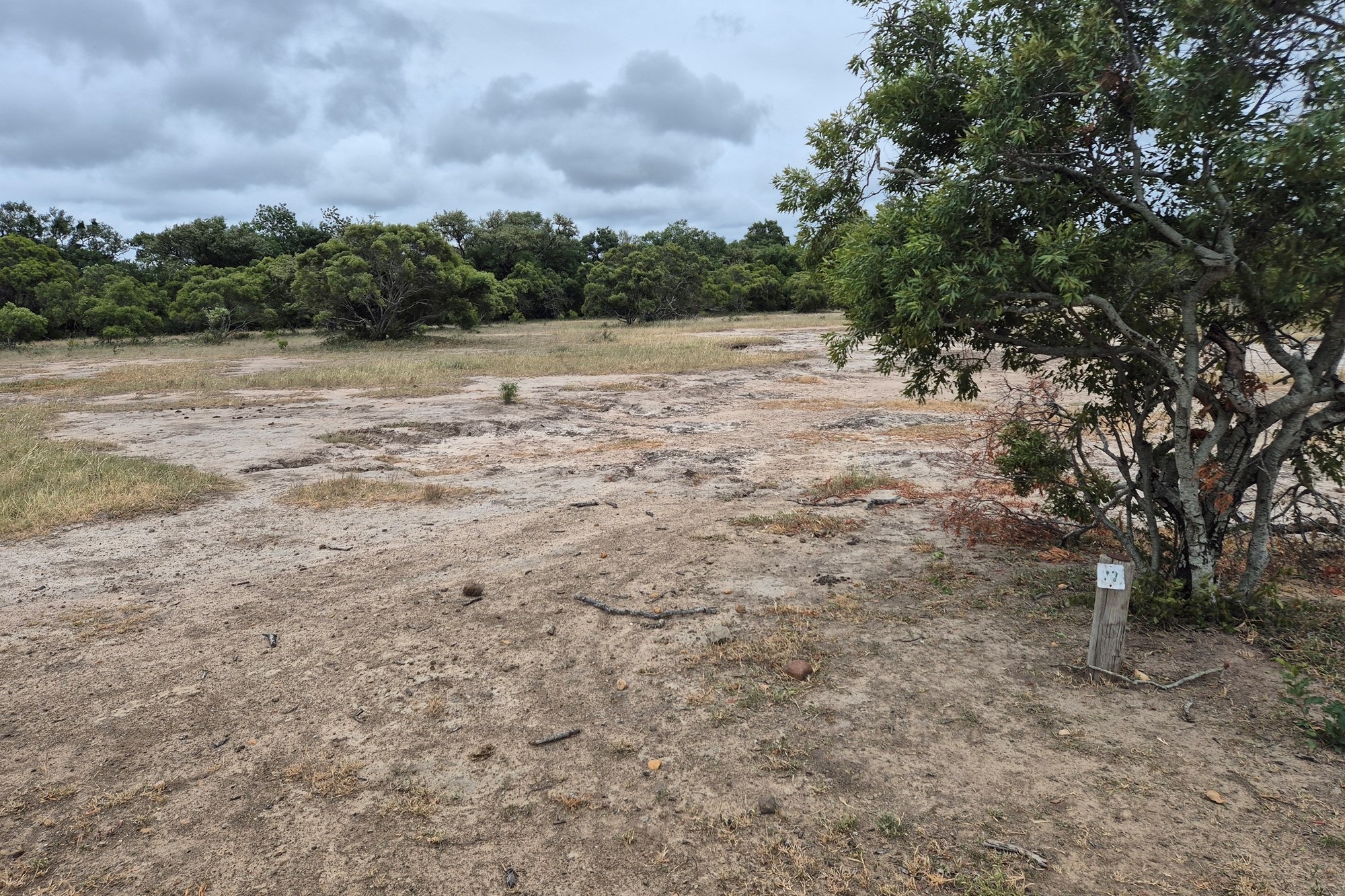 River stand in Moditlo Wildlife Estate with a variety of trees and open plains for optimal wildlife