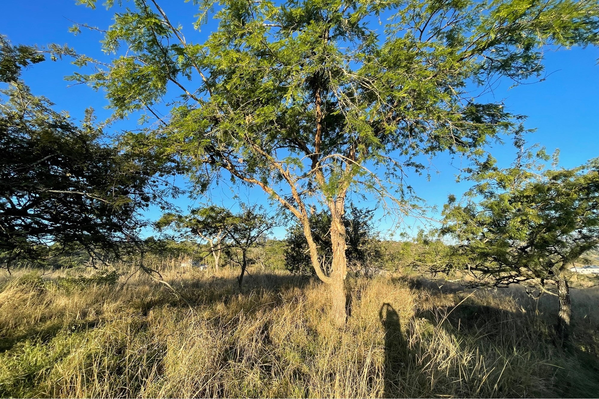 "Own Your Paradise at Wild Fig Country Estate"