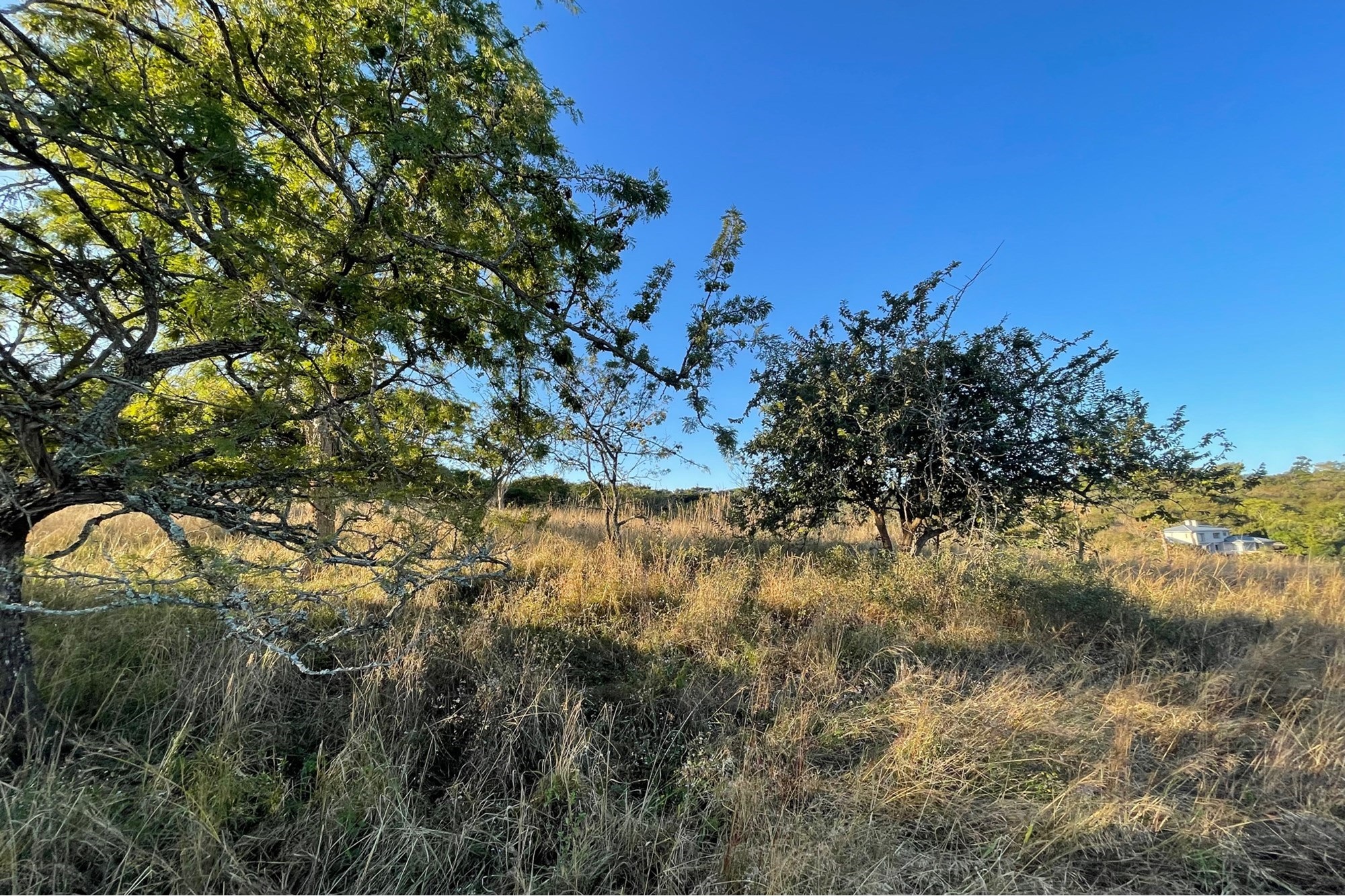 "Own Your Paradise at Wild Fig Country Estate"
