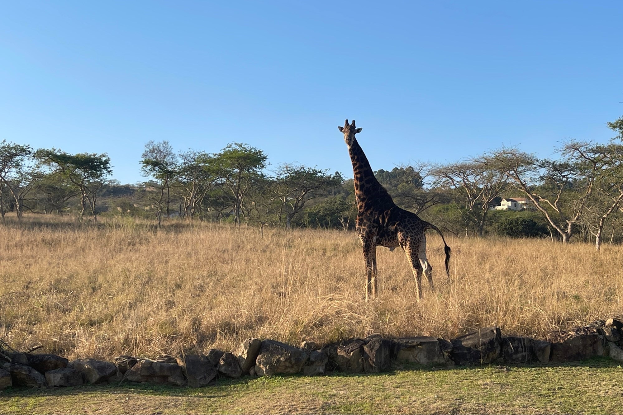 "Own Your Paradise at Wild Fig Country Estate"