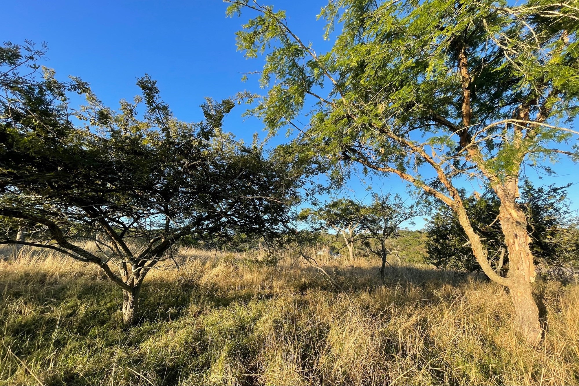 "Own Your Paradise at Wild Fig Country Estate"