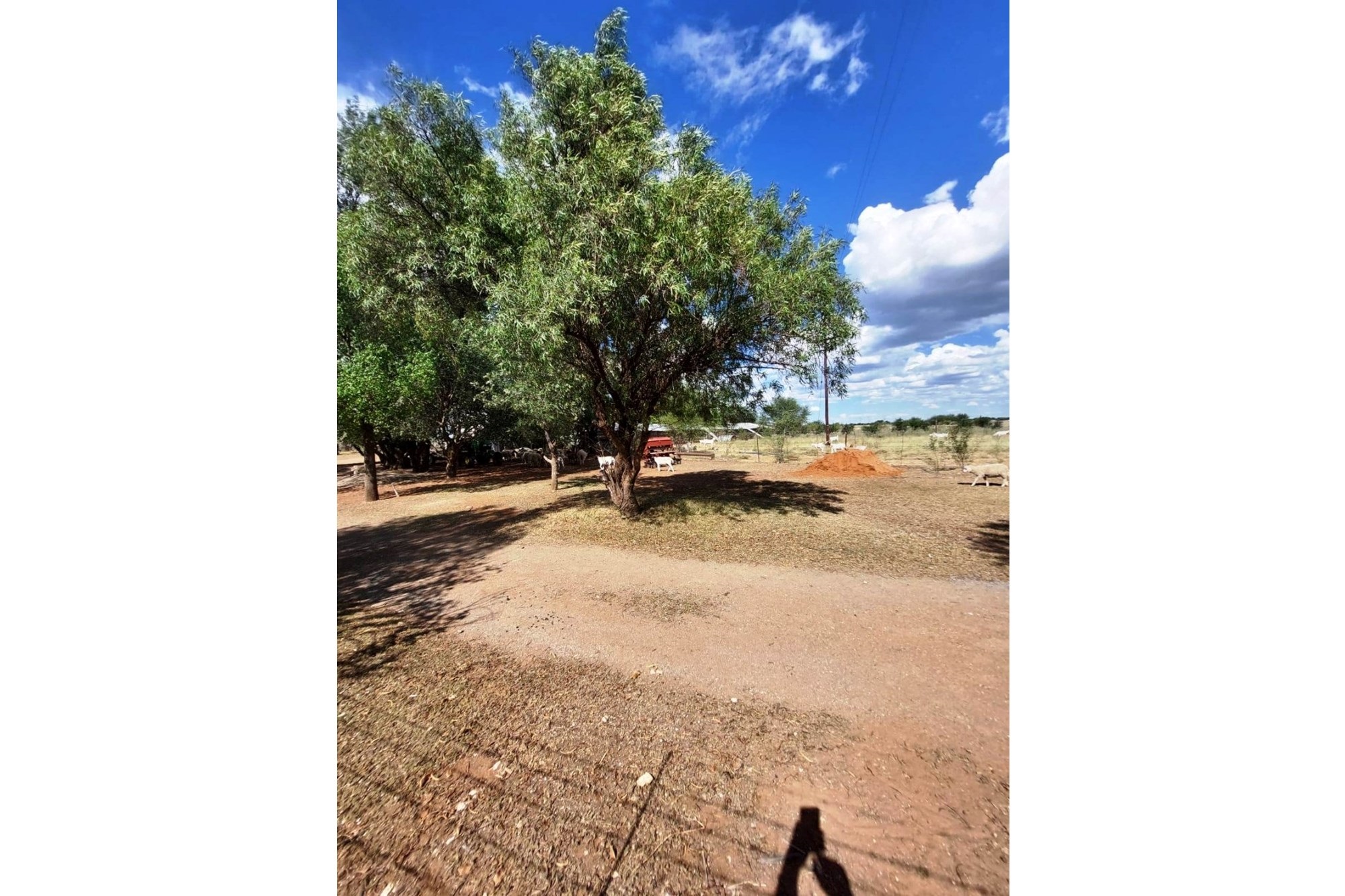51ha Farm for Sale Just Outside Kimberley