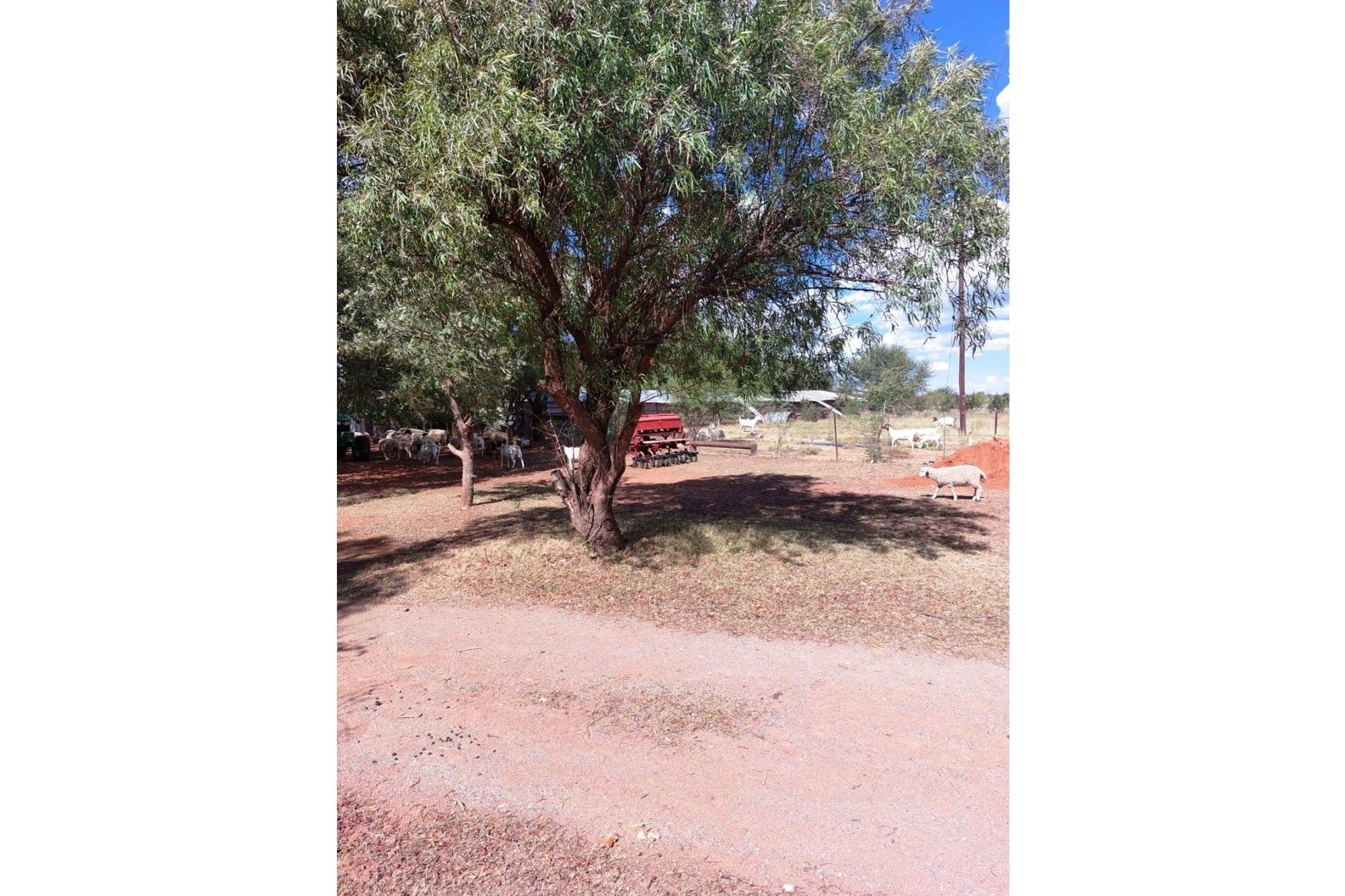 51ha Farm for Sale Just Outside Kimberley