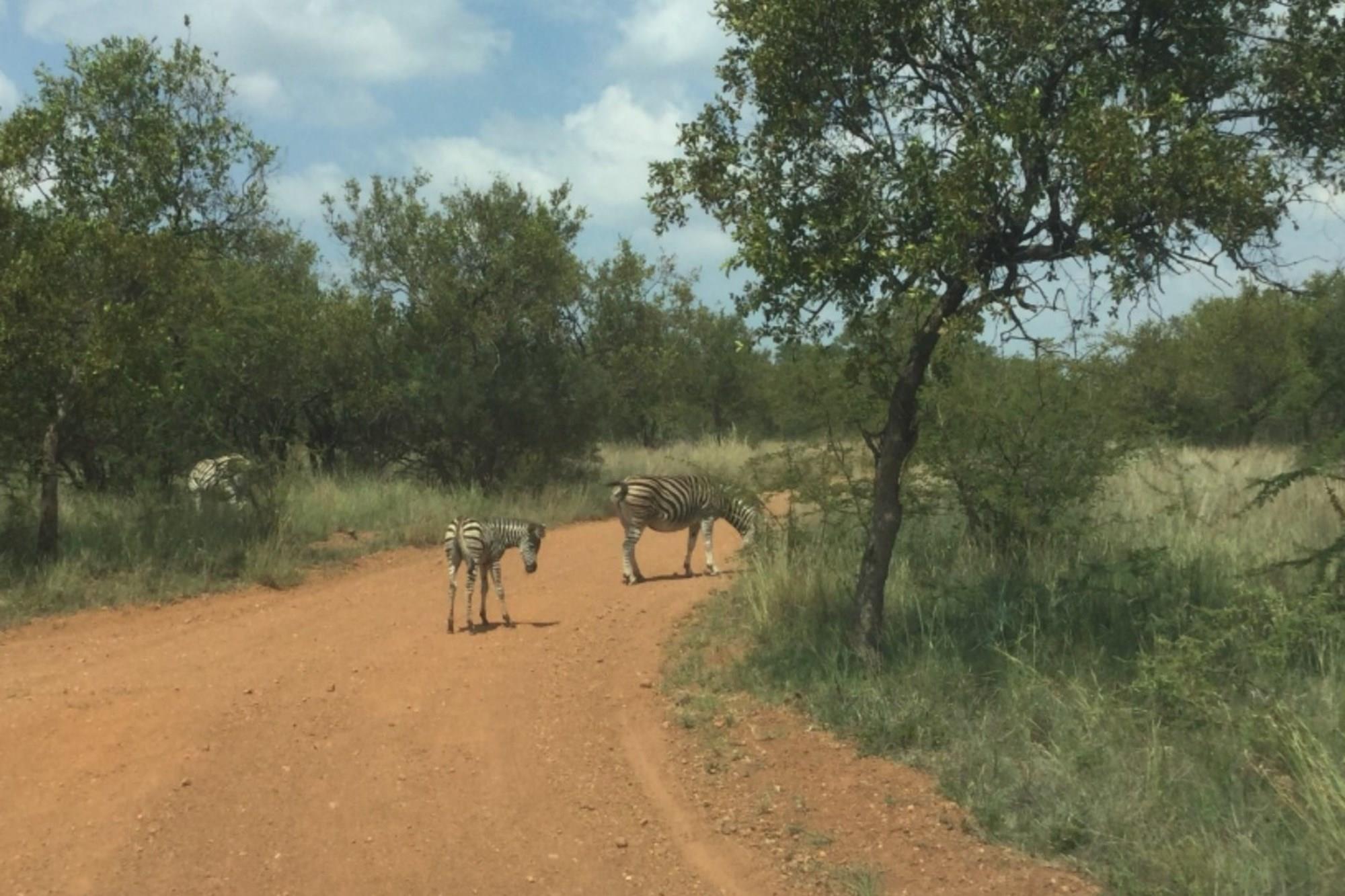Vacant Land for sale in Dinokeng Game Reserve, Wonderboom, 30000 m²