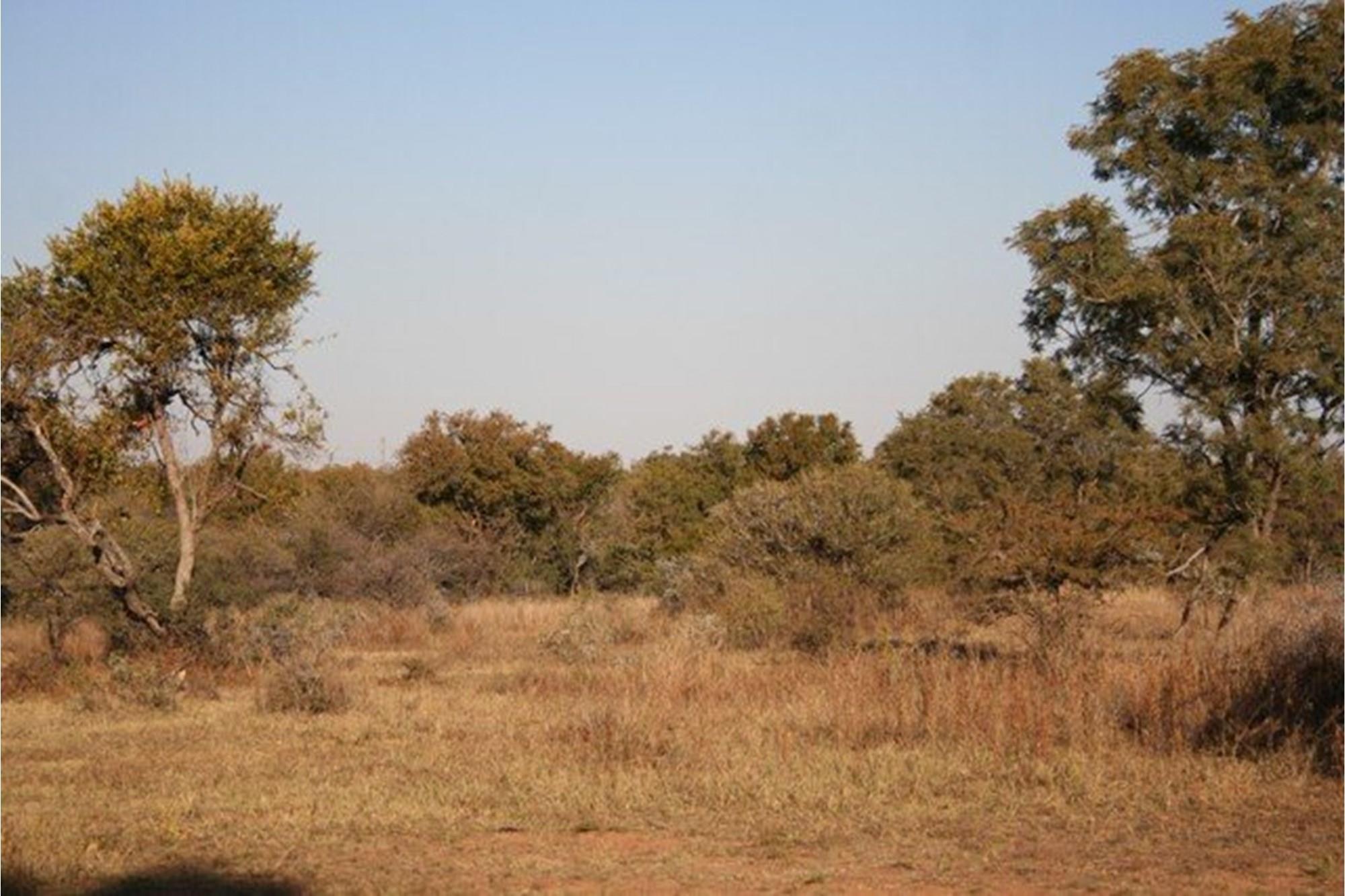 Vacant Land for sale in Dinokeng Game Reserve, Wonderboom, 30000 m²