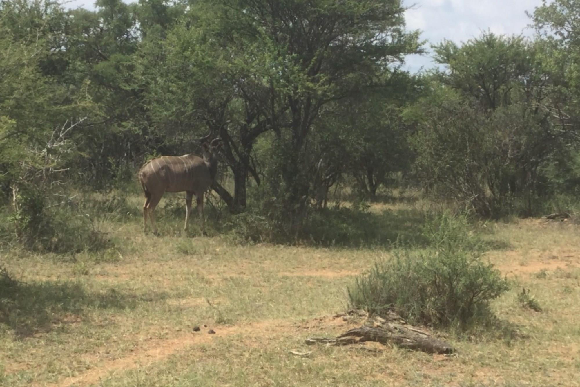 Vacant Land for sale in Dinokeng Game Reserve, Wonderboom, 30000 m²
