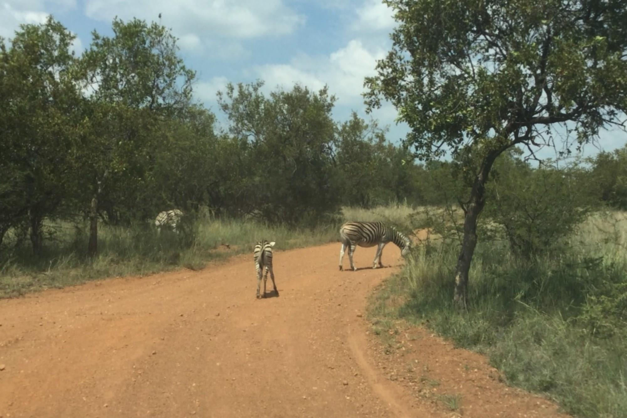 Vacant Land for sale in Dinokeng Game Reserve, Wonderboom, 30000 m²
