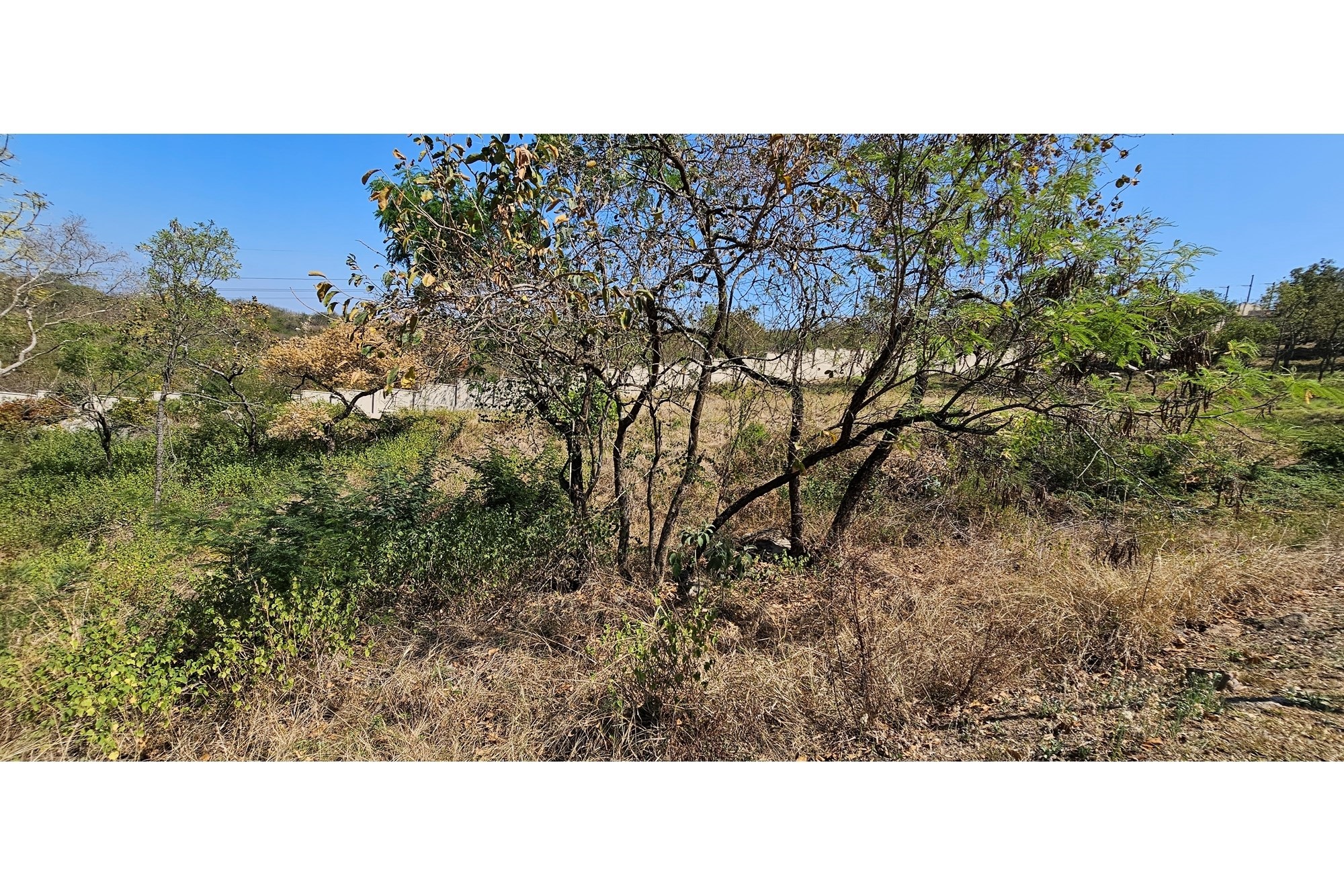 Vacant Land for sale in Drum Rock, Nelspruit, 1169 m²