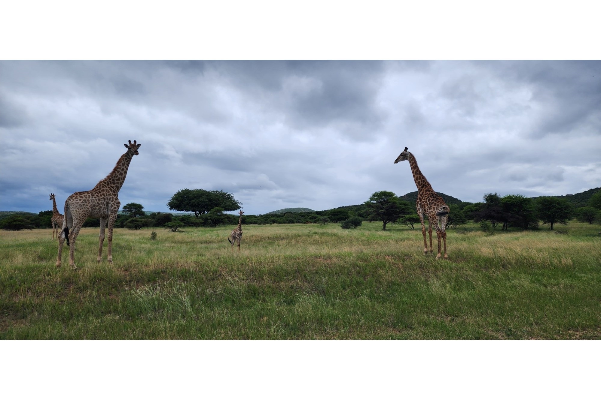Intaba-Indle Wilderness Estate - Your dream home stand bordering seasonal stream and near Dam