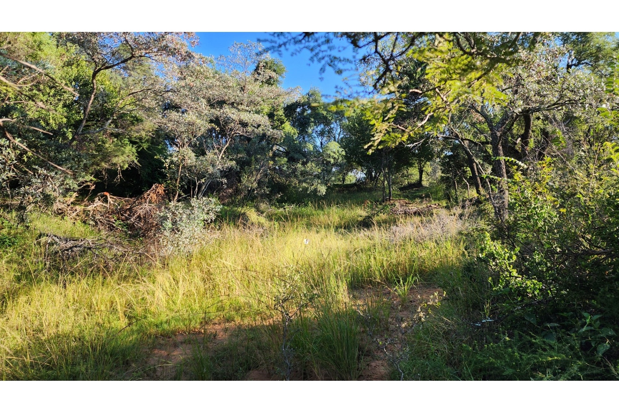 Intaba-Indle Wilderness Estate - Your dream home stand bordering seasonal stream and near Dam
