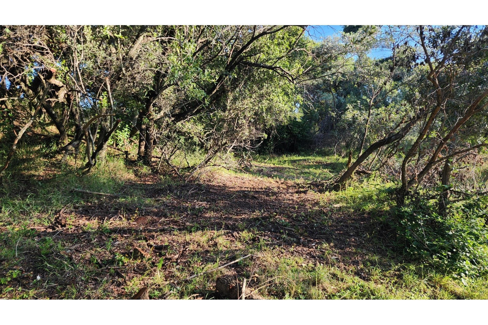 Intaba-Indle Wilderness Estate - Your dream home stand bordering seasonal stream and near Dam