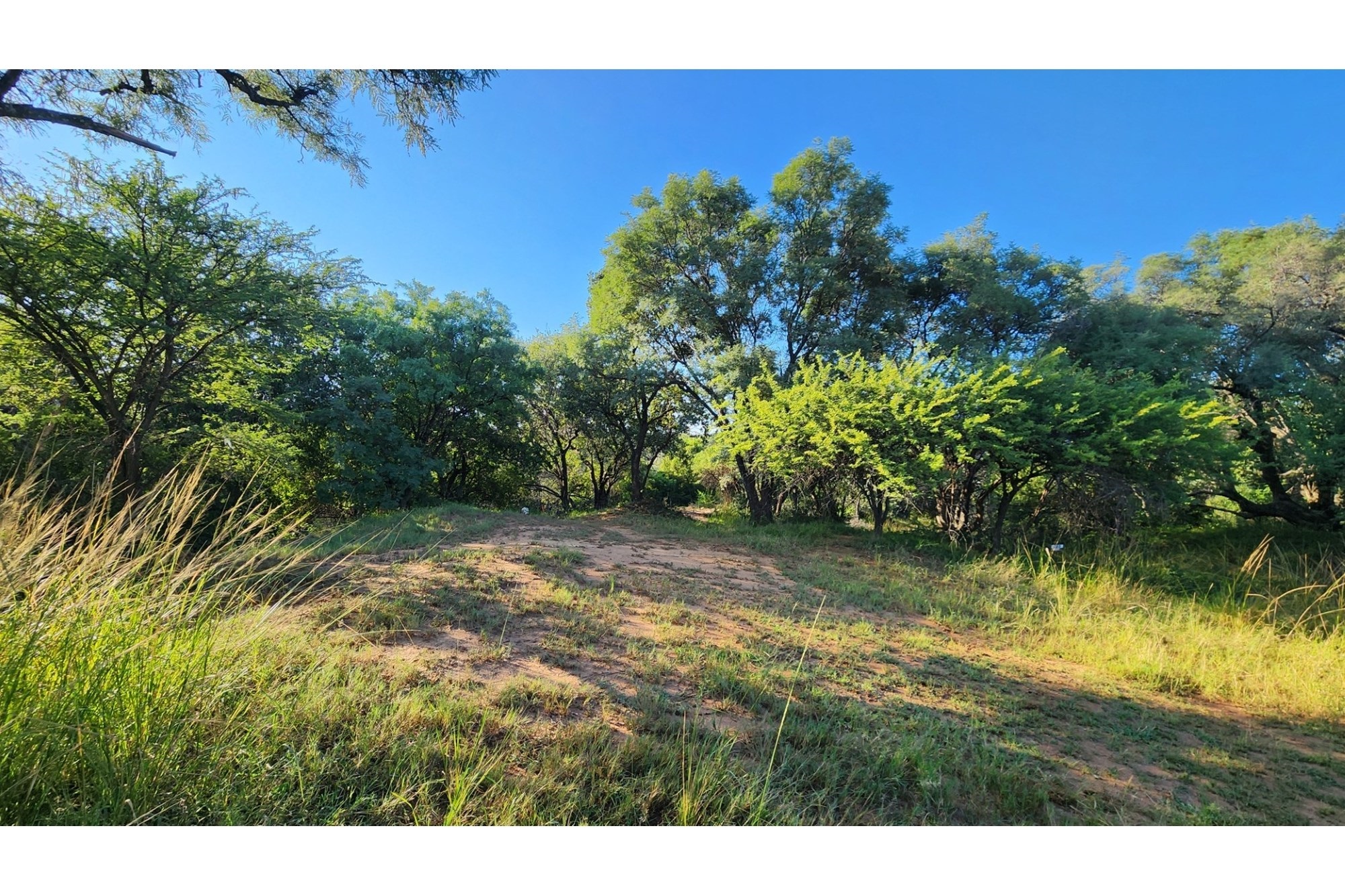 Intaba-Indle Wilderness Estate - Your dream home stand bordering seasonal stream and near Dam