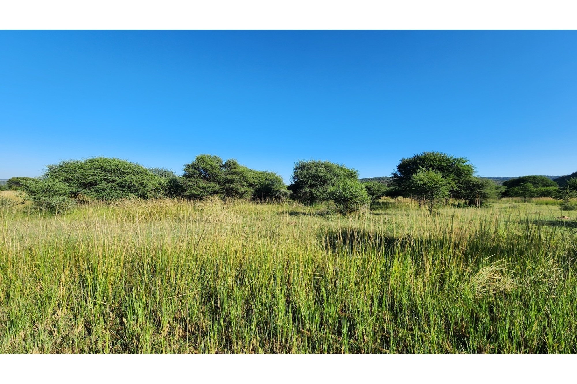Intaba-Indle Wilderness Estate - Your dream home stand bordering seasonal stream and near Dam