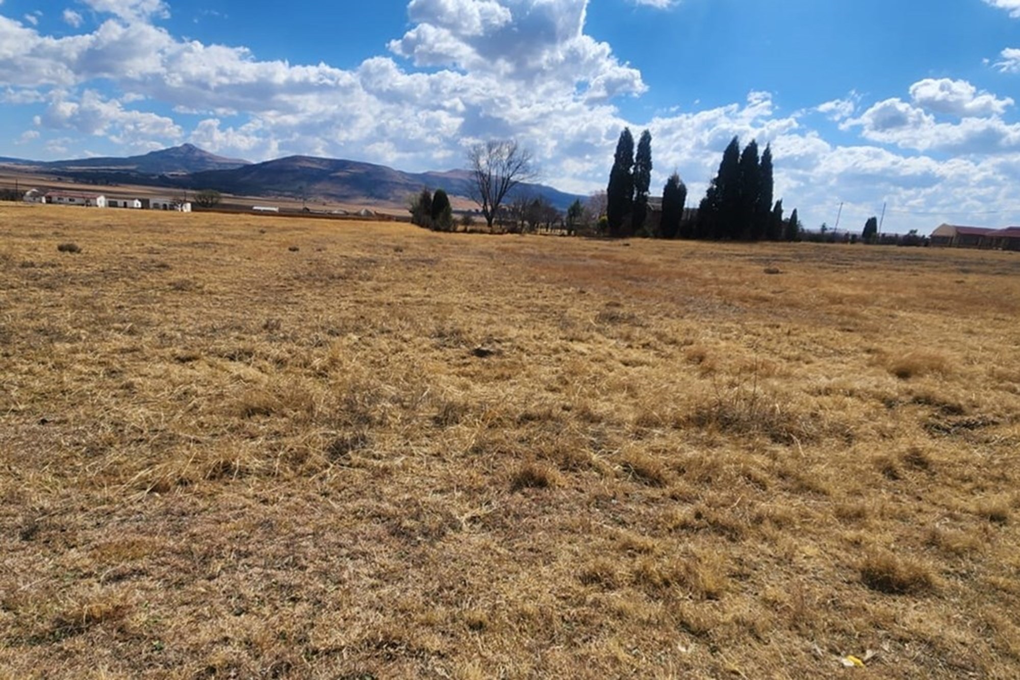 "Prime Land in Wakkerstroom: 5,710sqm Dream Site"
