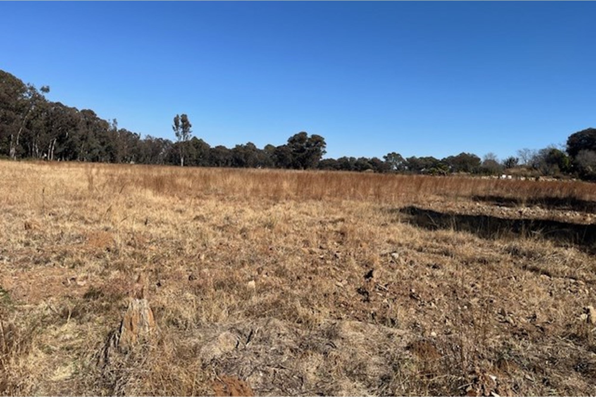 Prime vacant land, breakaway from the hustle and bustle of city life.