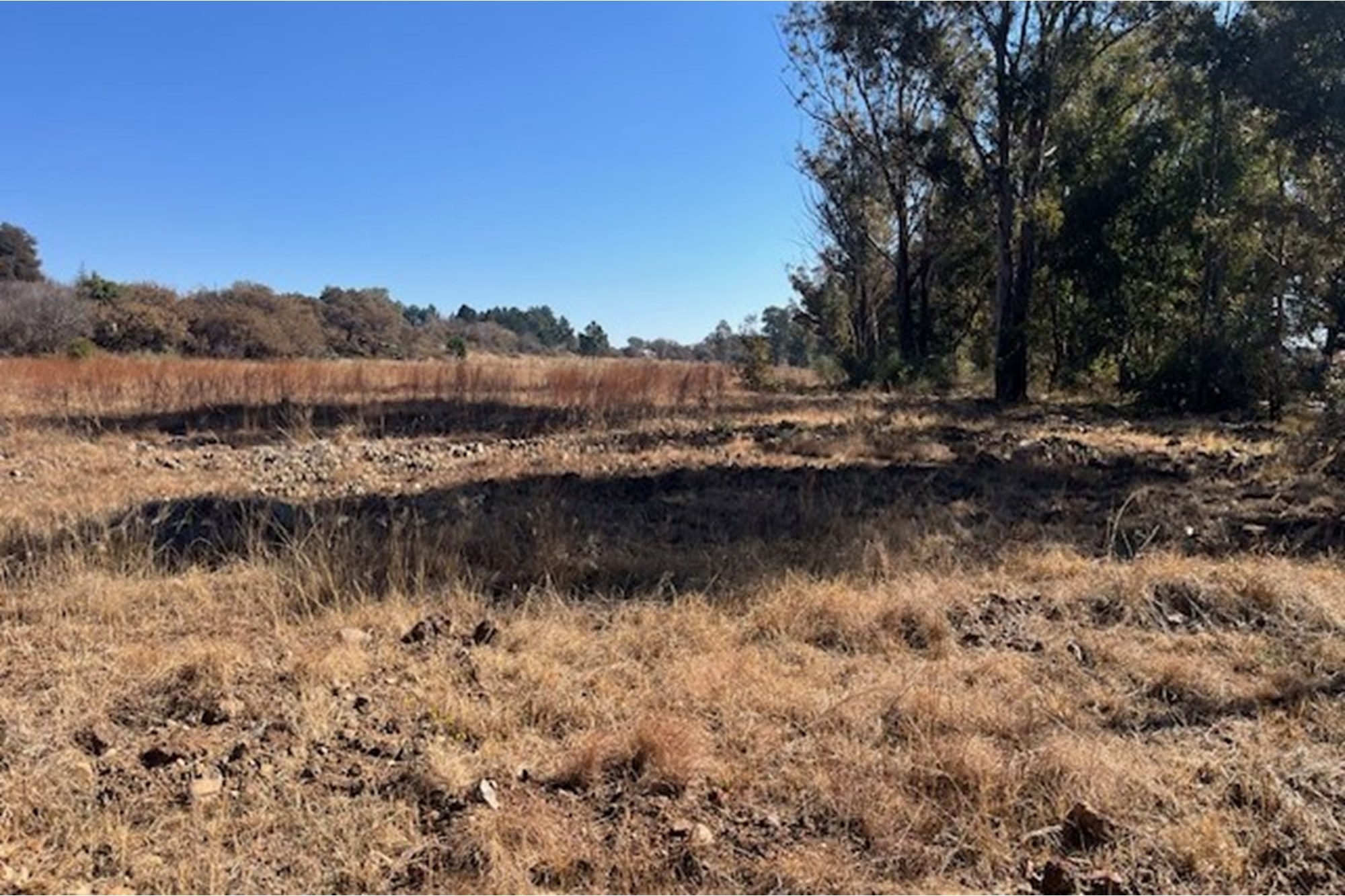 Prime vacant land, breakaway from the hustle and bustle of city life.