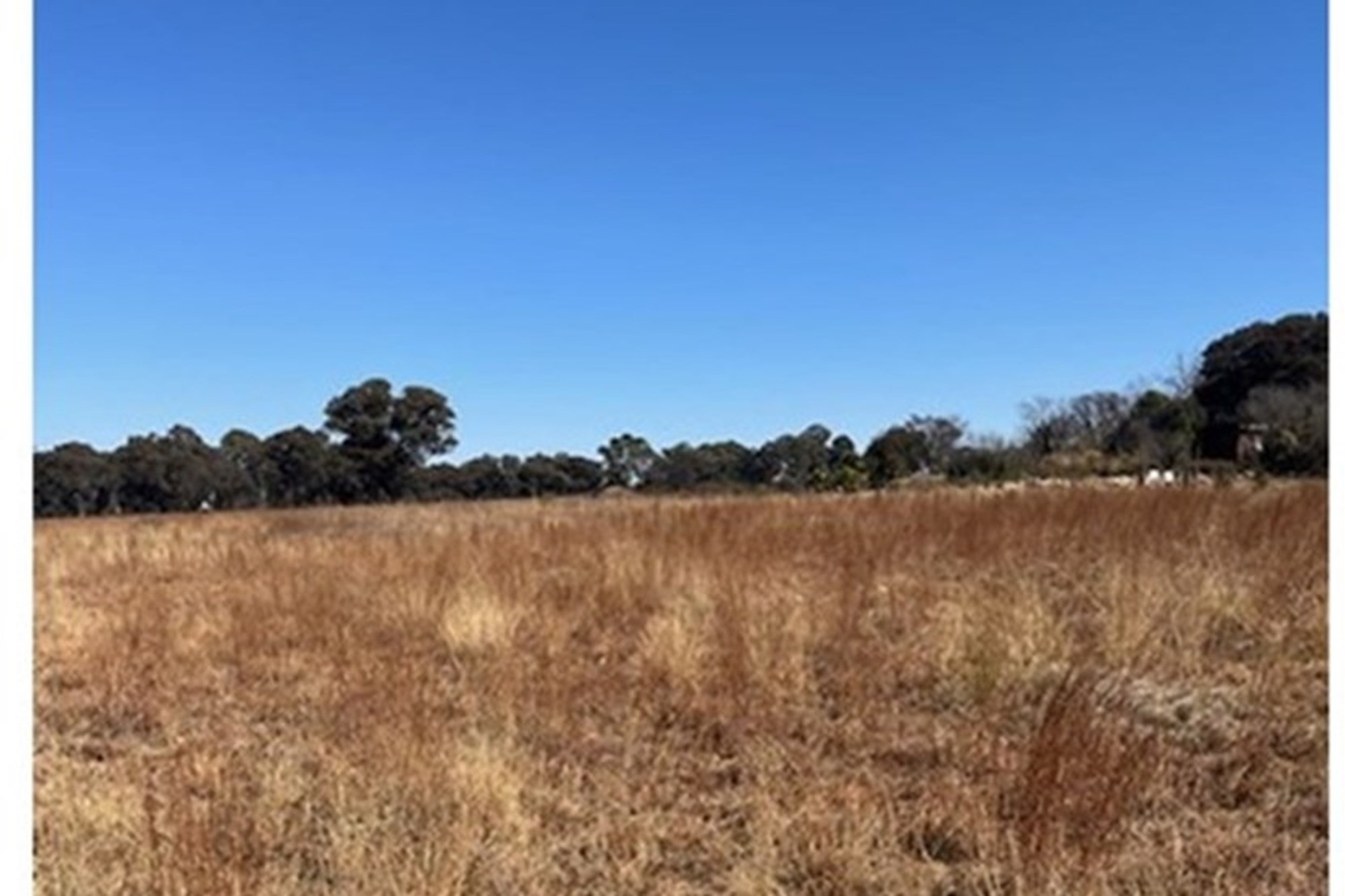 Prime vacant land, breakaway from the hustle and bustle of city life.