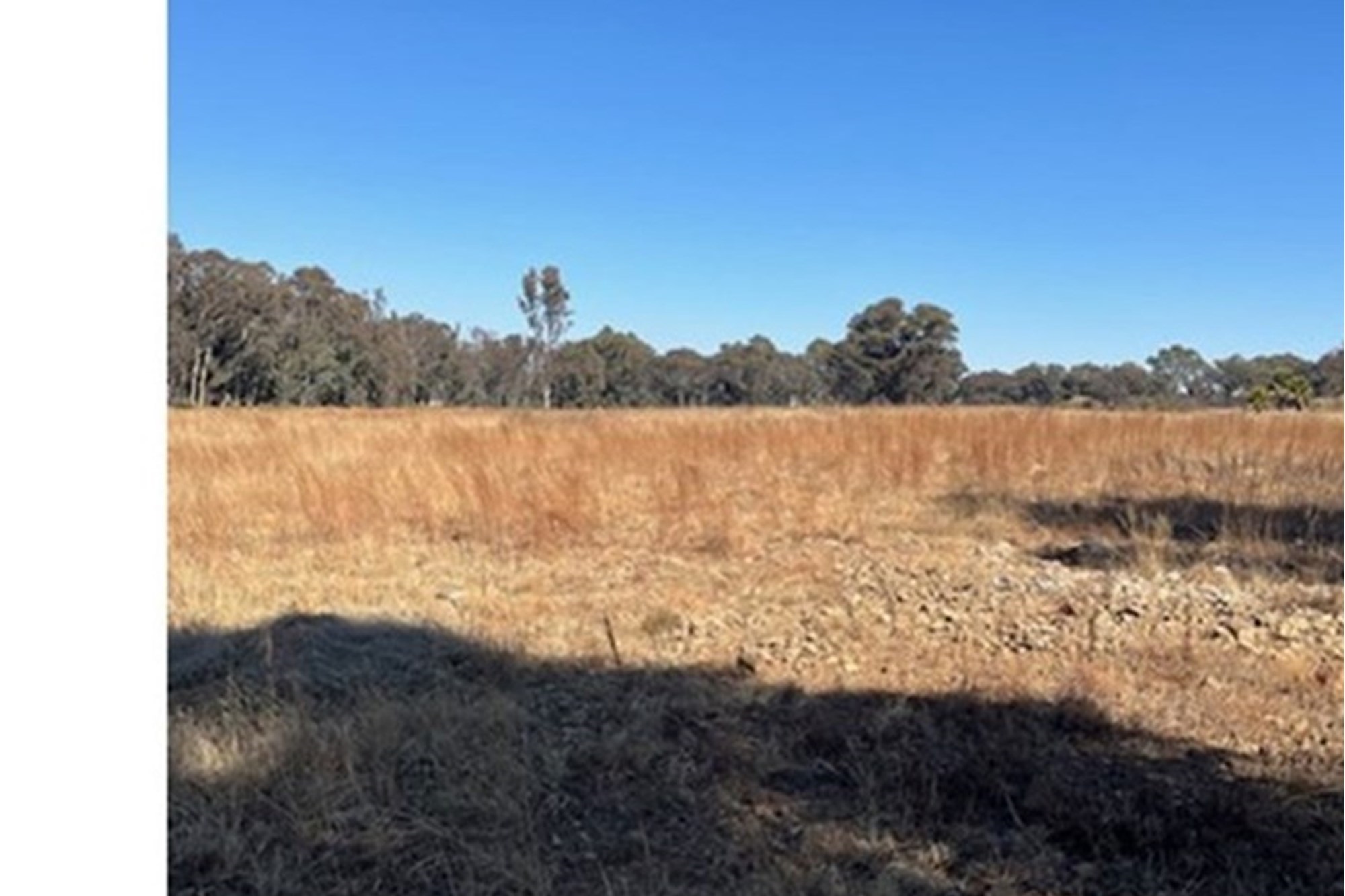 Prime vacant land, breakaway from the hustle and bustle of city life.