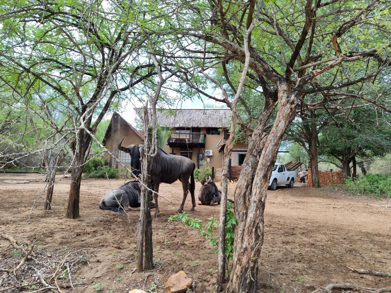 Adventure Meets Comfort, Three Homes in One