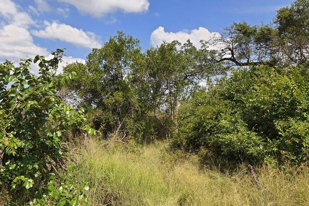 Vacant Land for sale in Moditlo Nature Reserve, Hoedspruit, 9170 m²