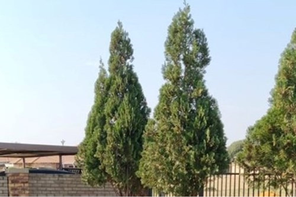 Apartment For Sale in Brits Central, Brits, North West