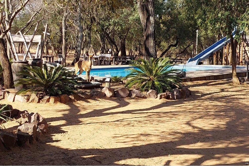 Established Caravan Park and Leisure Facility for sale, Bela Bela