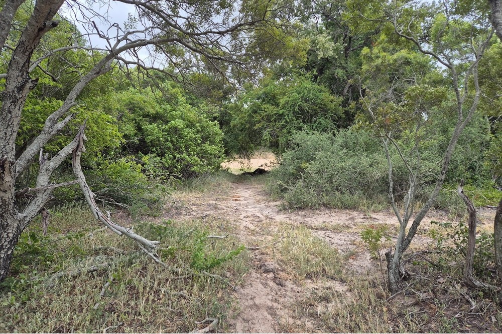 Vacant Land For Sale in Hoedspruit