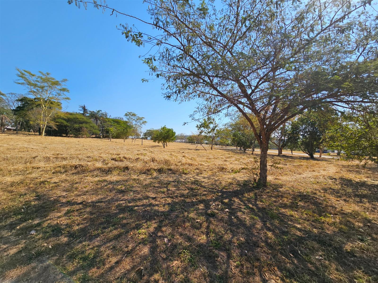 Vacant Stands For Sale in Sabie River Eco Estate, Hazyview